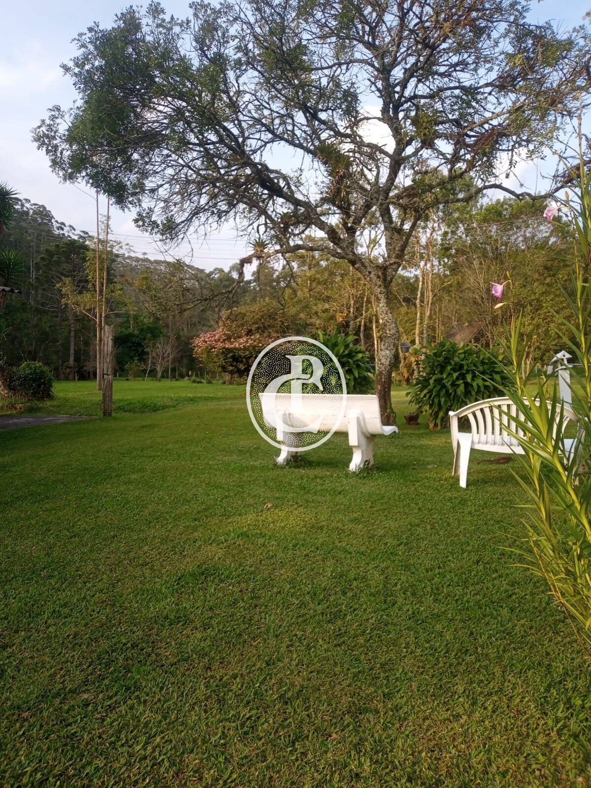 Sítio, 3 quartos, 7 hectares - Foto 4