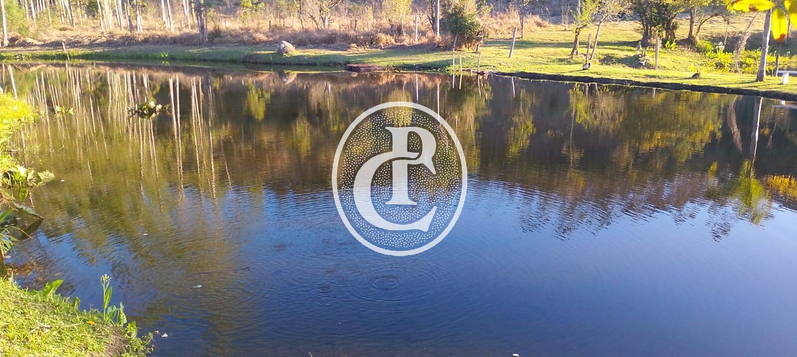 Sítio, 3 quartos, 7 hectares - Foto 6