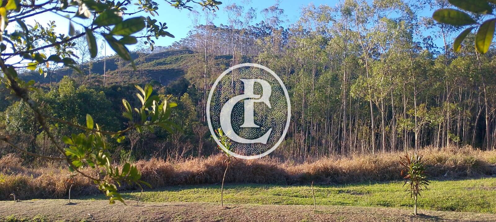 Sítio, 3 quartos, 7 hectares - Foto 11