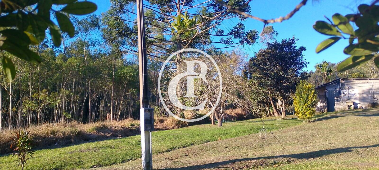 Sítio, 3 quartos, 7 hectares - Foto 12