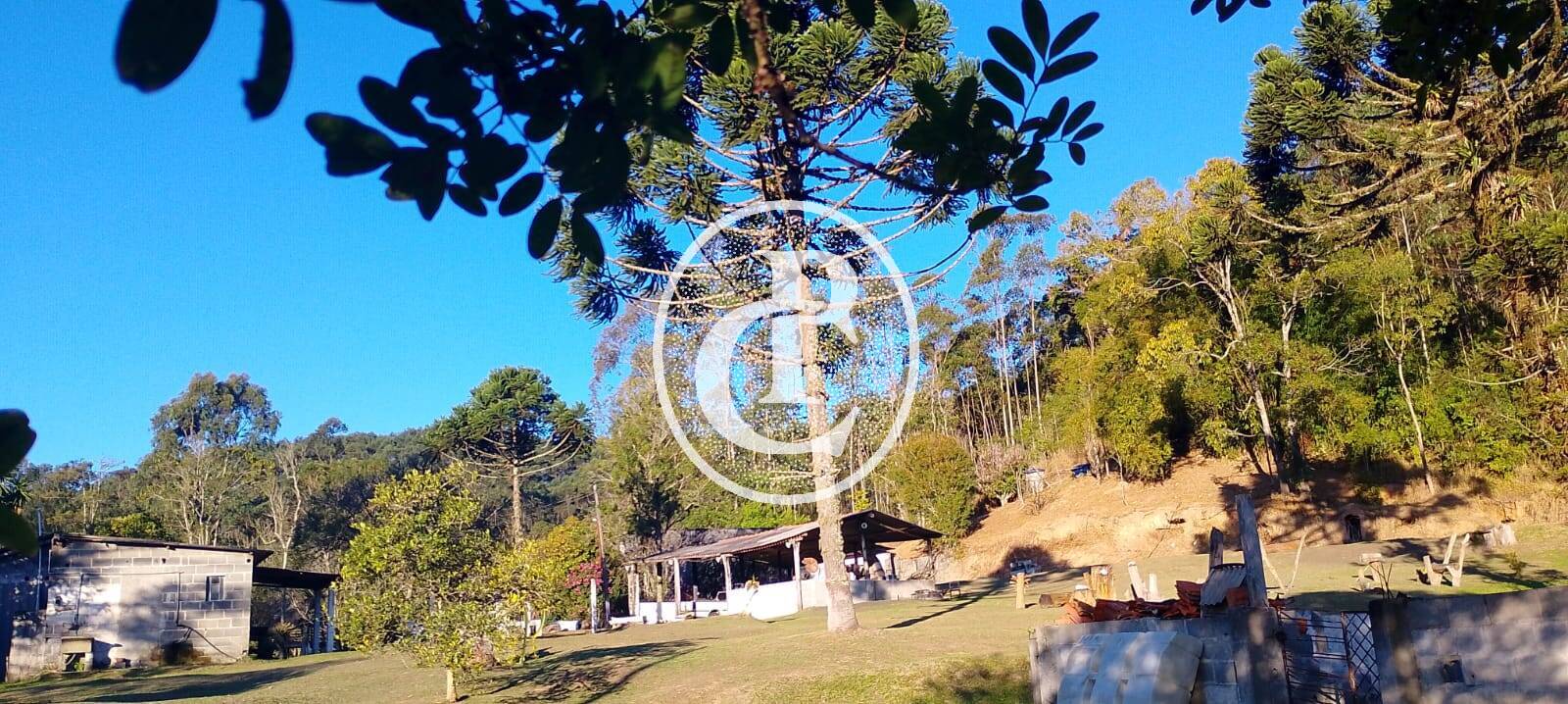 Sítio, 3 quartos, 7 hectares - Foto 13