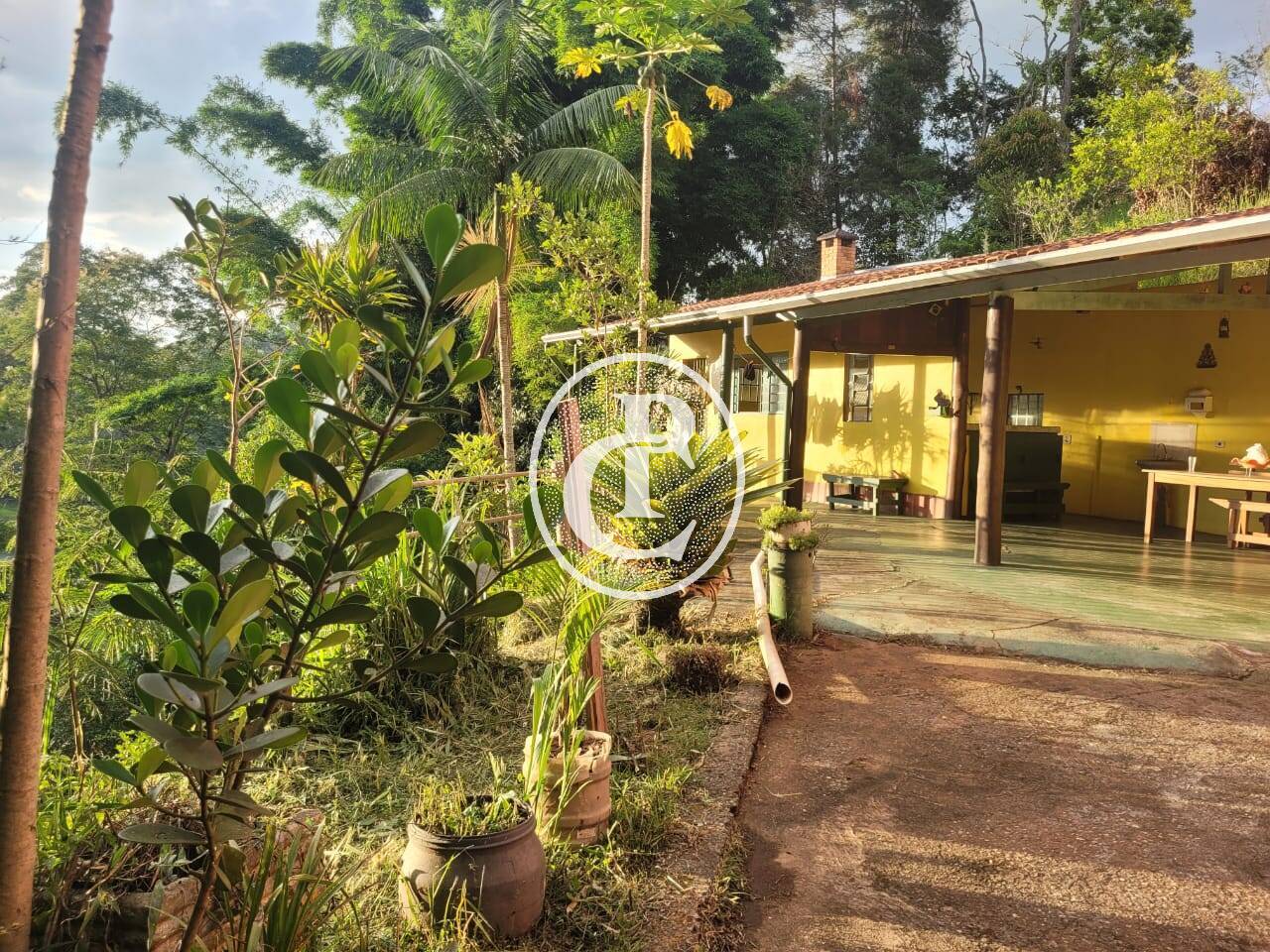 Sítio, 3 quartos, 5000 m² - Foto 4