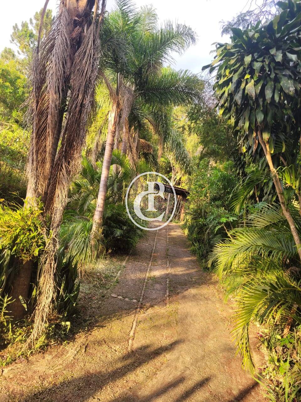 Sítio, 3 quartos, 5000 m² - Foto 3