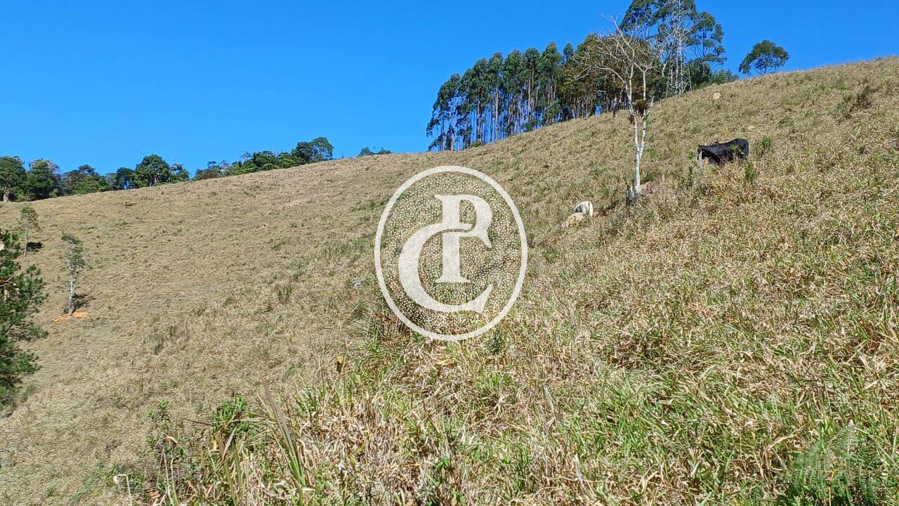 Sítio, 2 quartos, 5 hectares - Foto 11