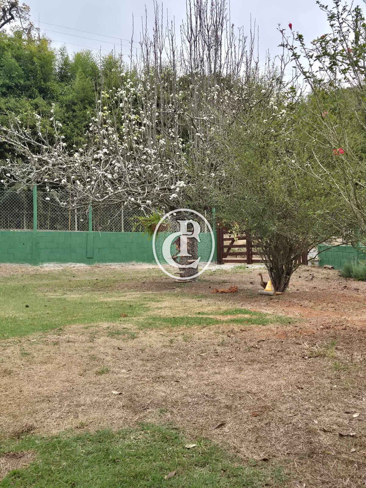 Sítio, 2 quartos, 55 m² - Foto 27