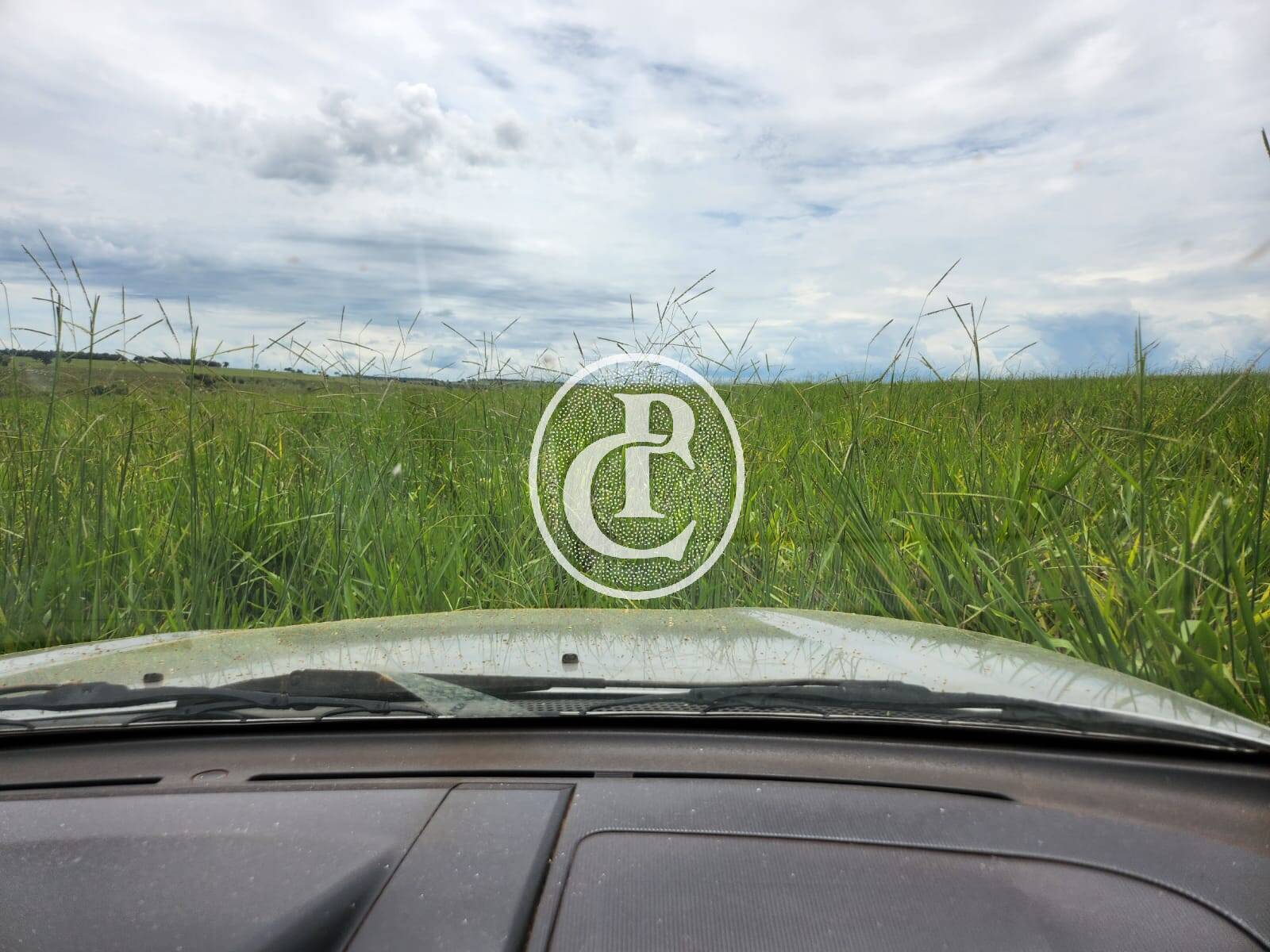 Fazenda, 643 hectares - Foto 5