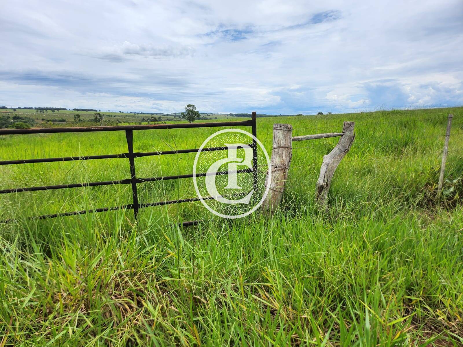 Fazenda, 643 hectares - Foto 2