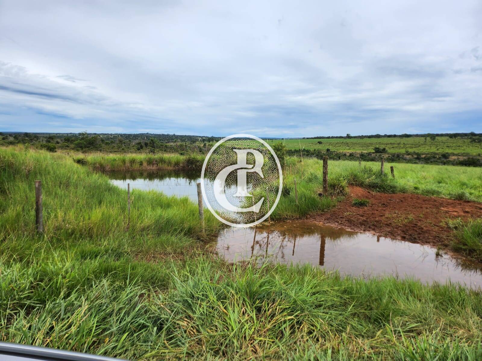 Fazenda, 643 hectares - Foto 8