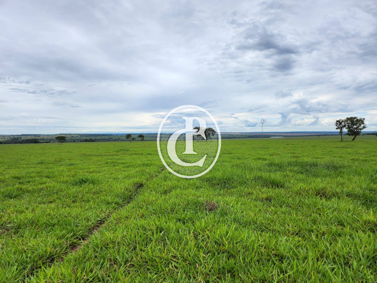 Fazenda, 643 hectares - Foto 9