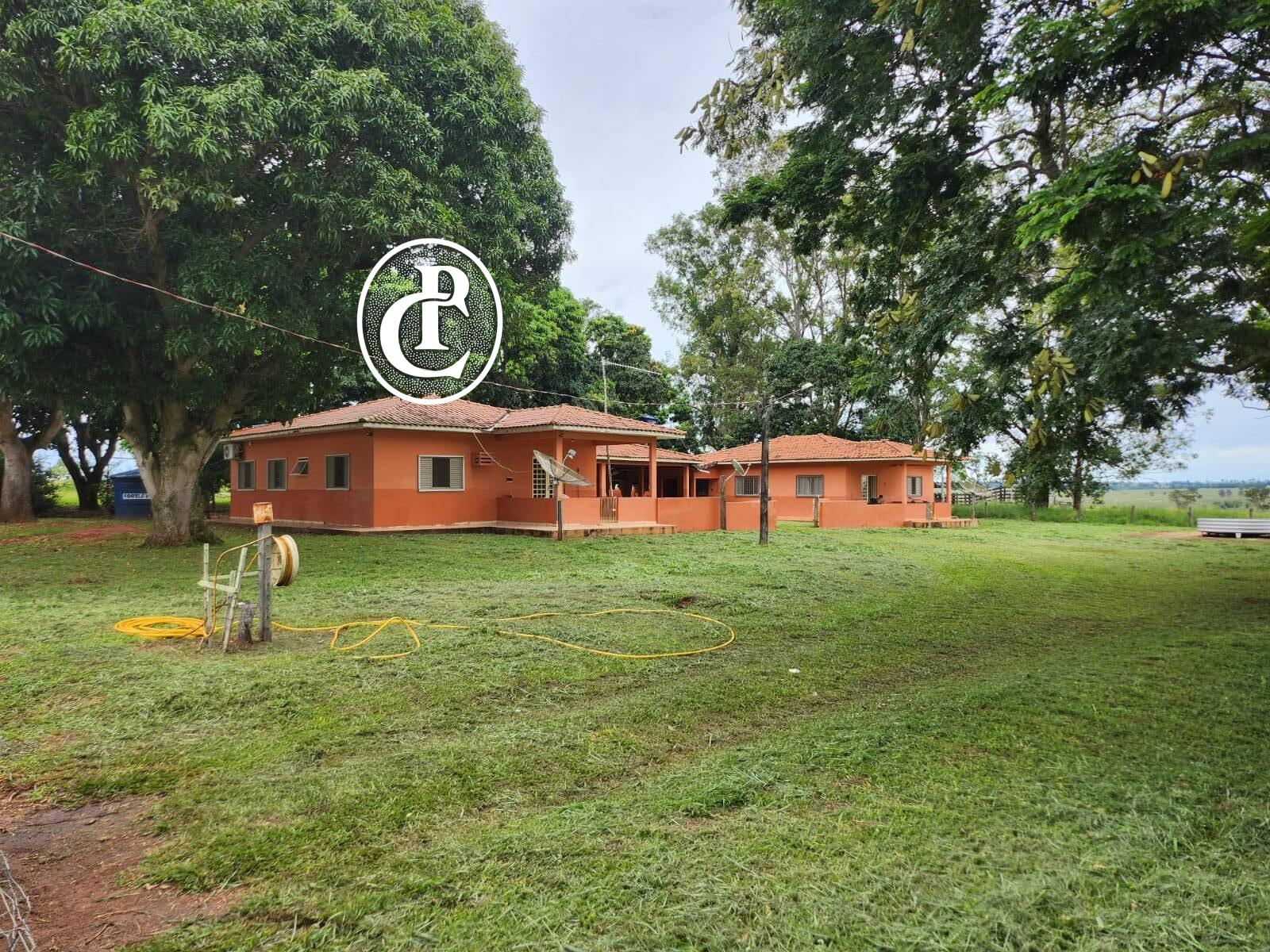 Fazenda, 643 hectares - Foto 11