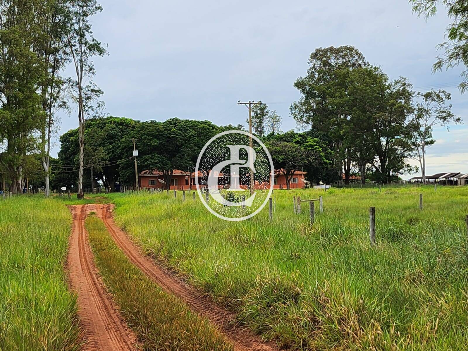 Fazenda, 643 hectares - Foto 12
