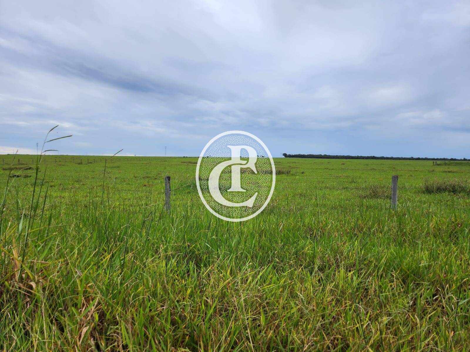 Fazenda, 643 hectares - Foto 14