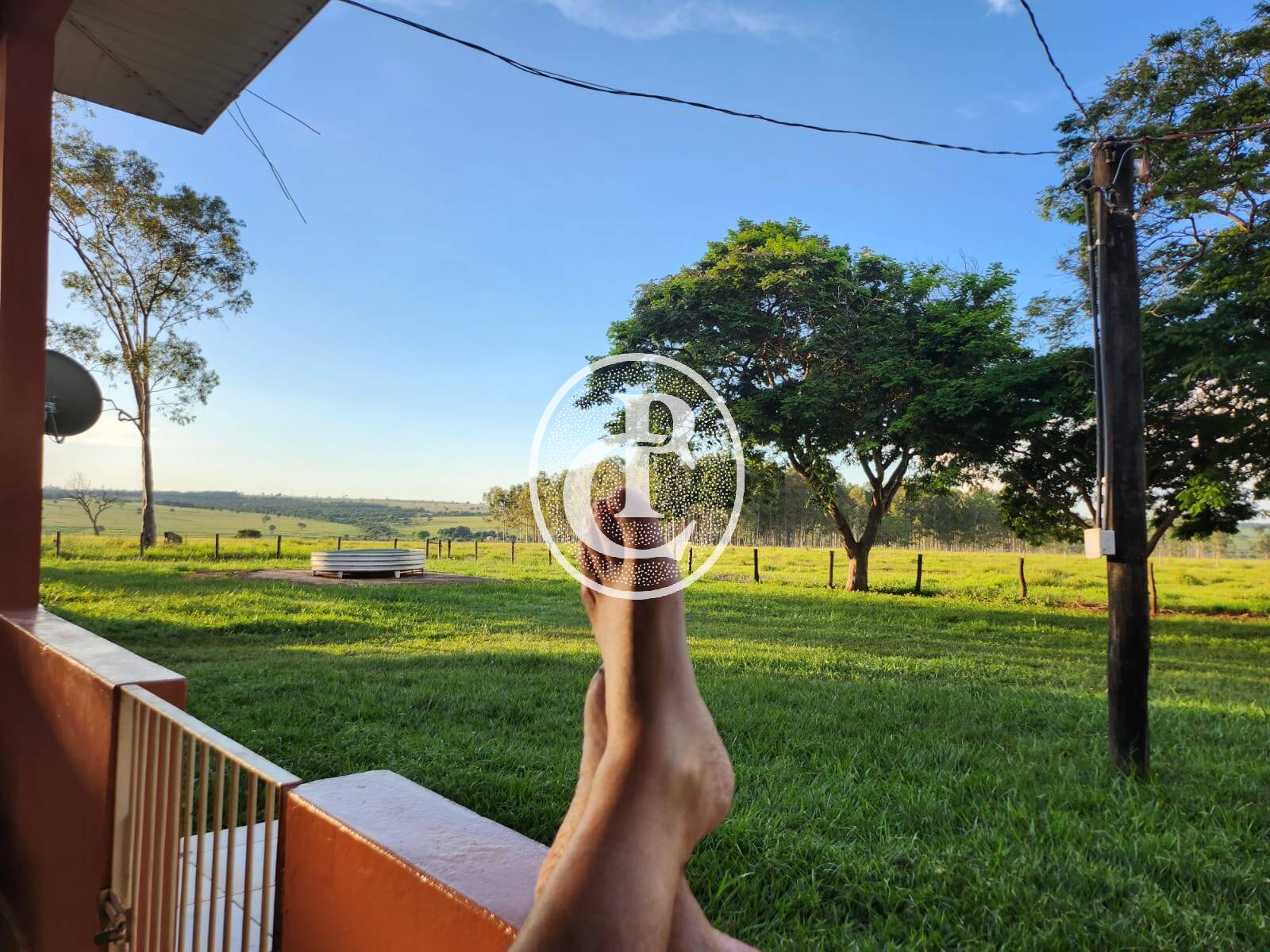 Fazenda, 643 hectares - Foto 13