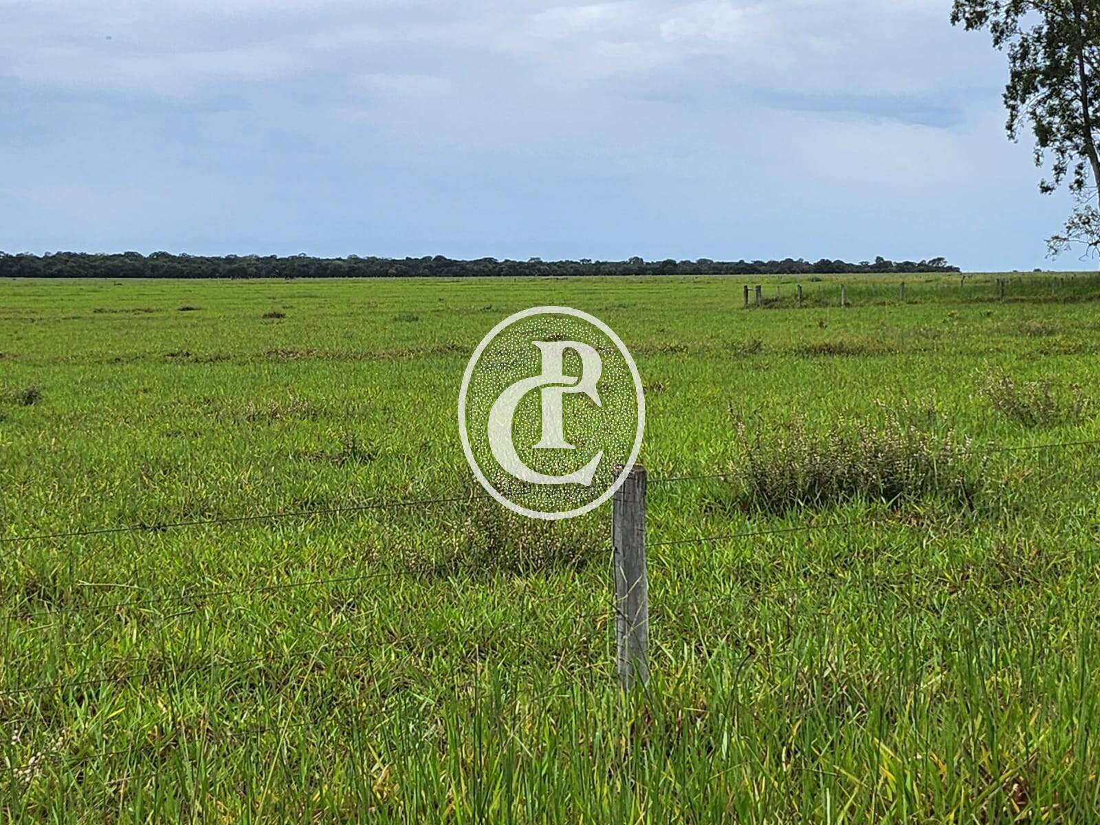 Fazenda, 643 hectares - Foto 15