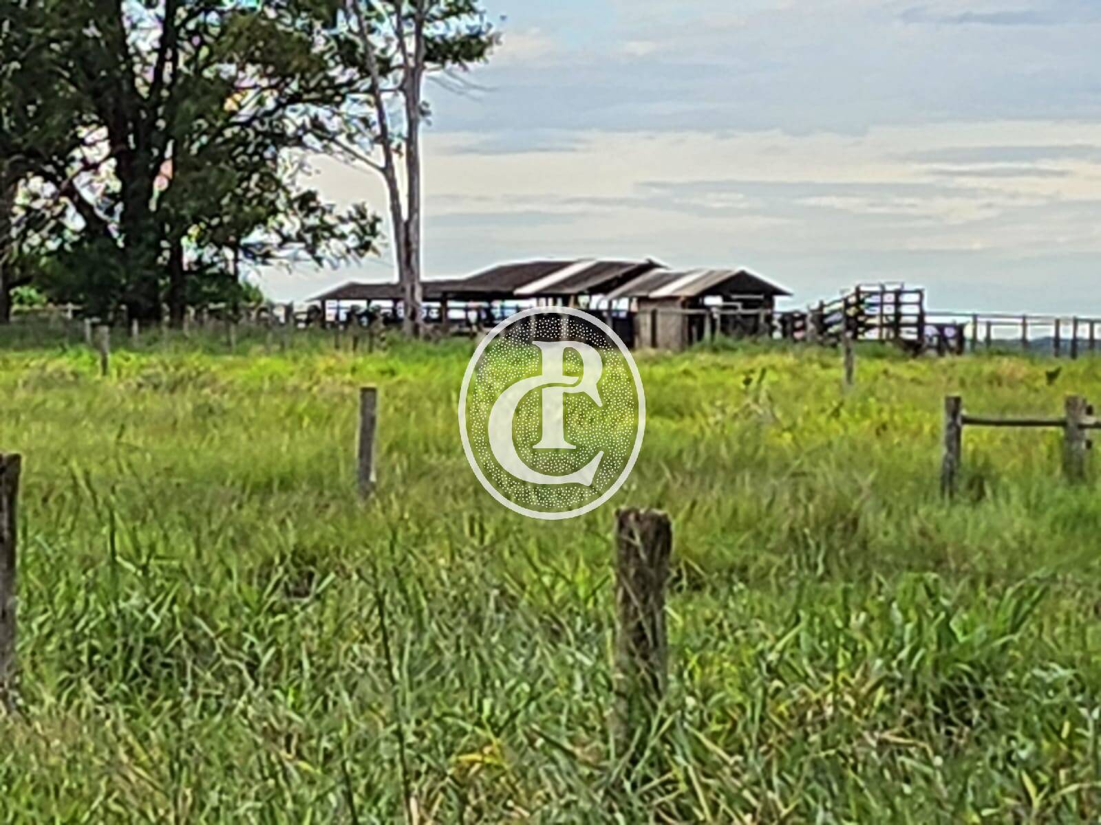 Fazenda, 643 hectares - Foto 16