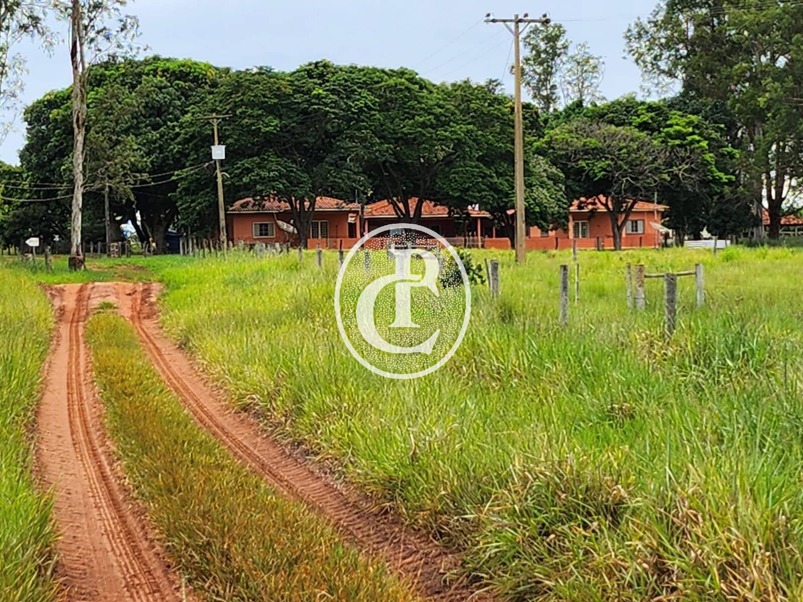 Fazenda, 643 hectares - Foto 17