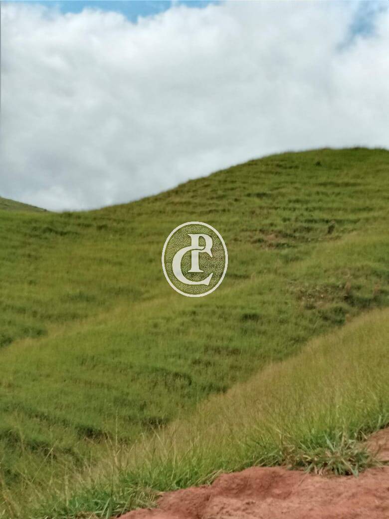 Fazenda-Sítio-Chácara, 63 hectares - Foto 1