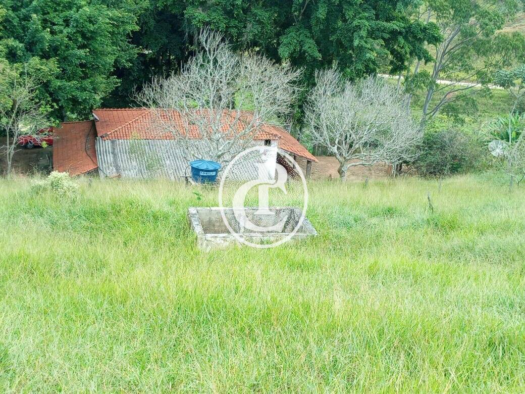 Fazenda-Sítio-Chácara, 63 hectares - Foto 3
