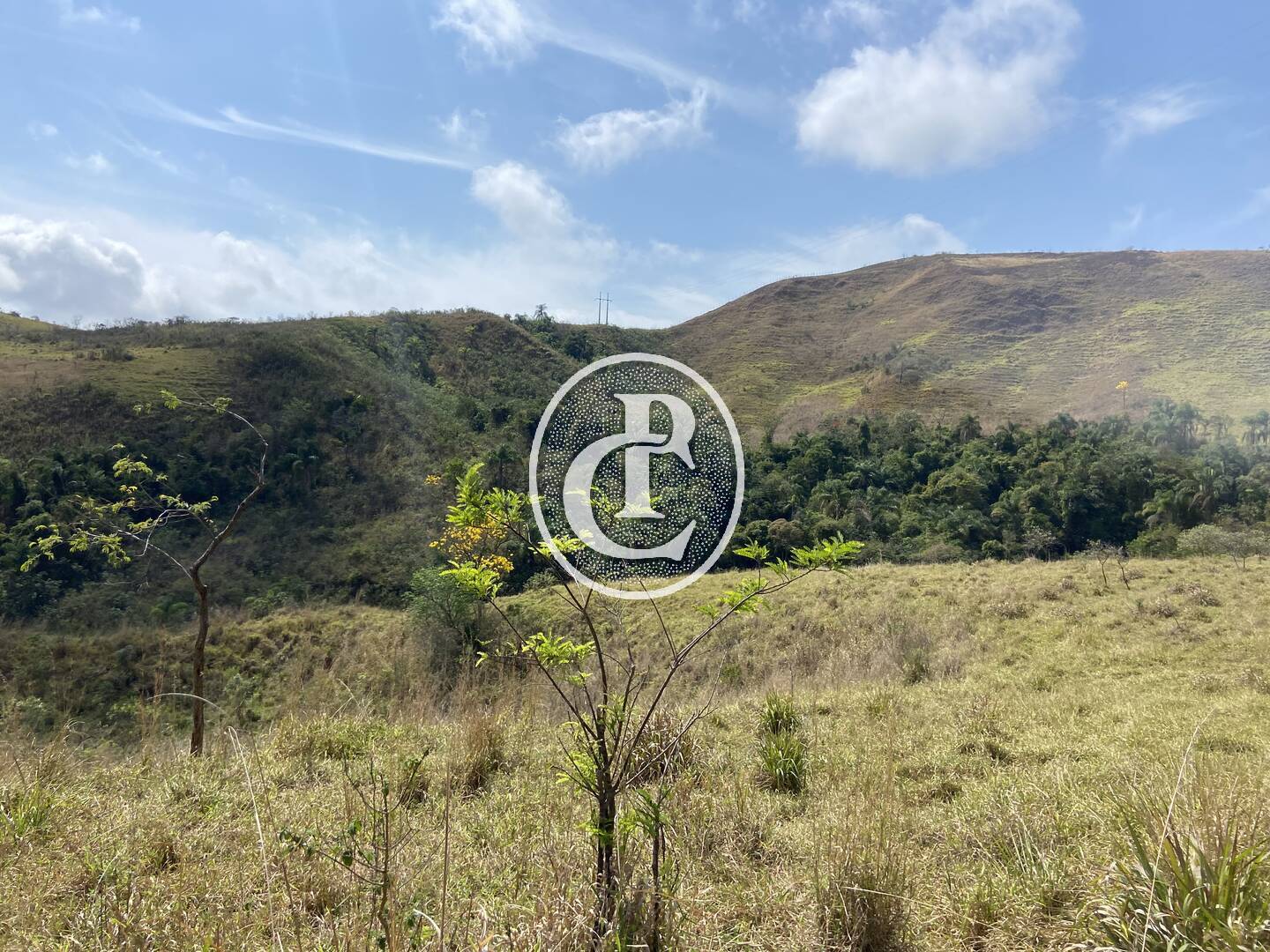 Fazenda-Sítio-Chácara, 63 hectares - Foto 19