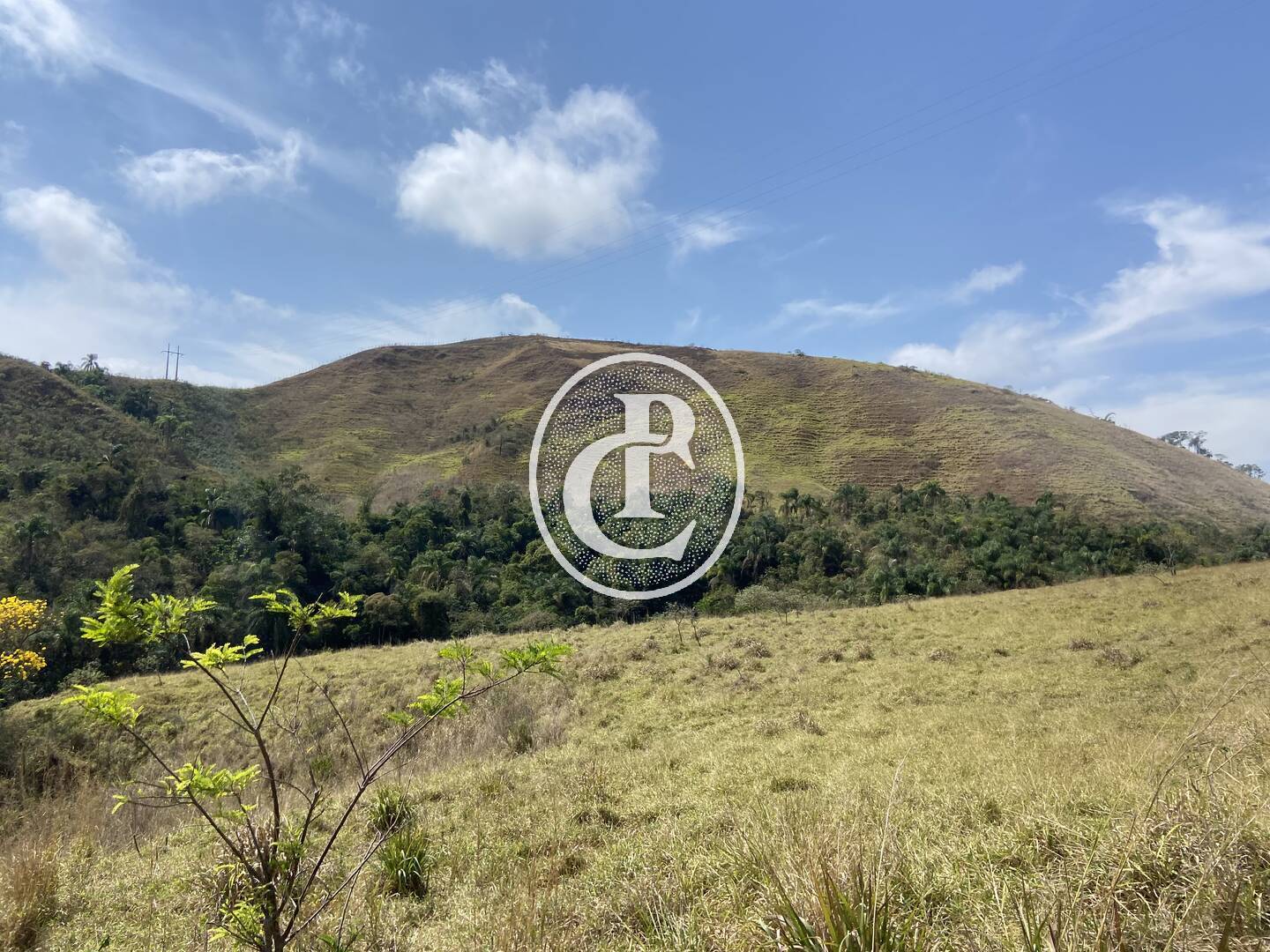 Fazenda-Sítio-Chácara, 63 hectares - Foto 20