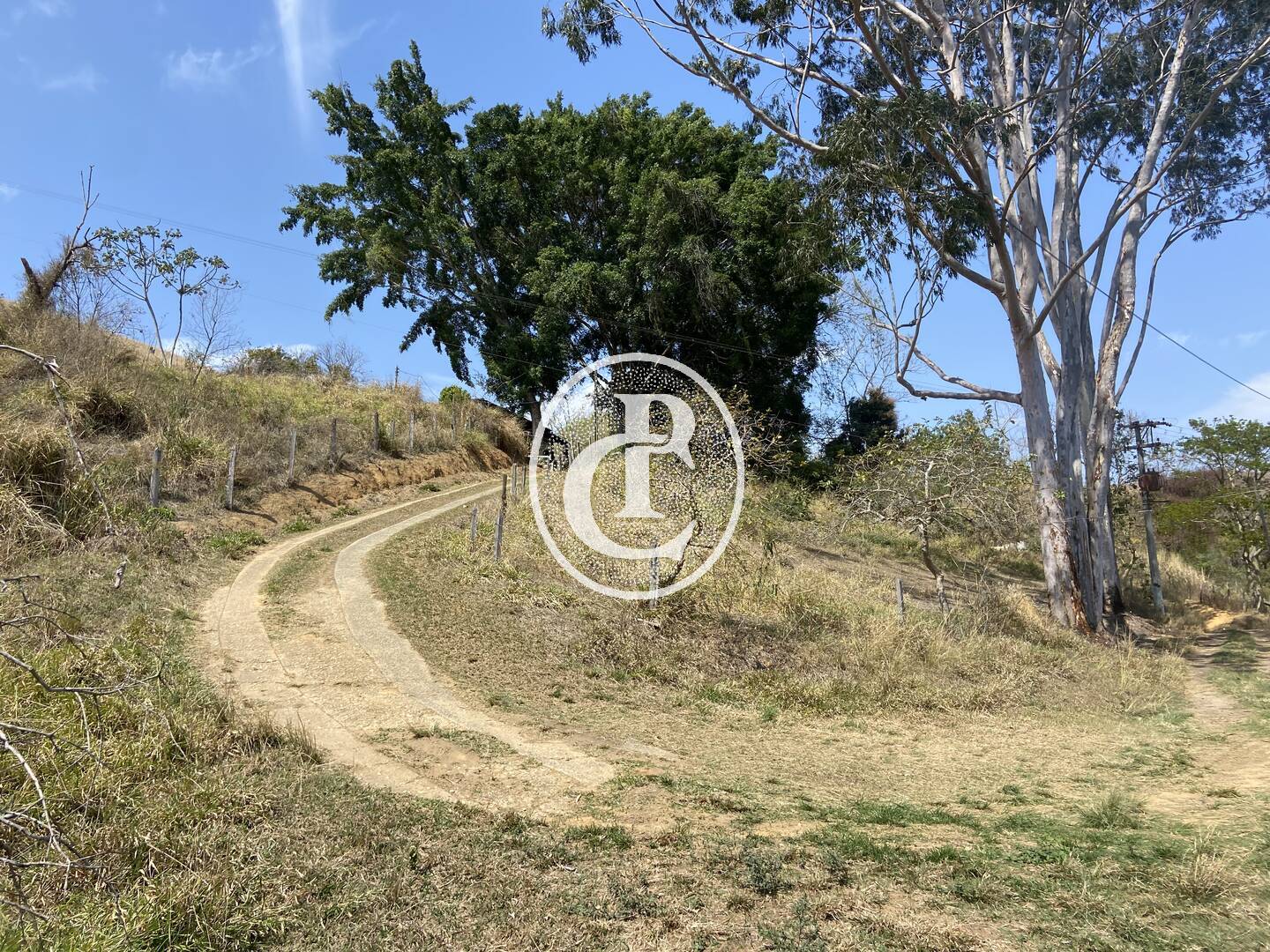 Fazenda-Sítio-Chácara, 63 hectares - Foto 21