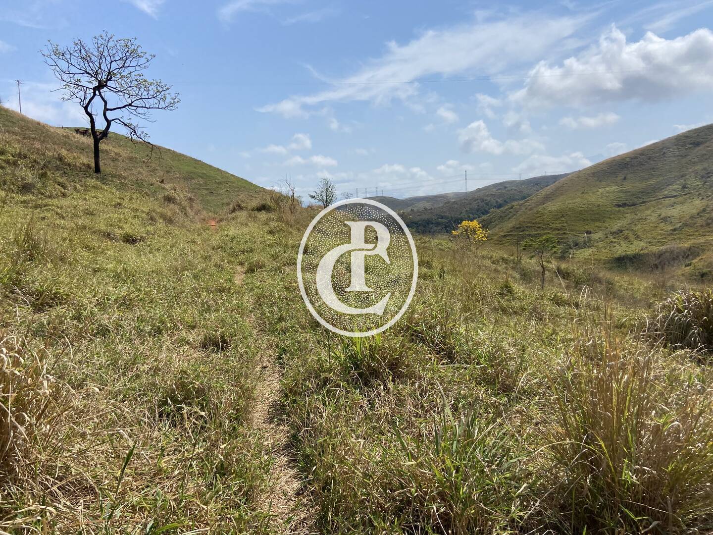 Fazenda-Sítio-Chácara, 63 hectares - Foto 23