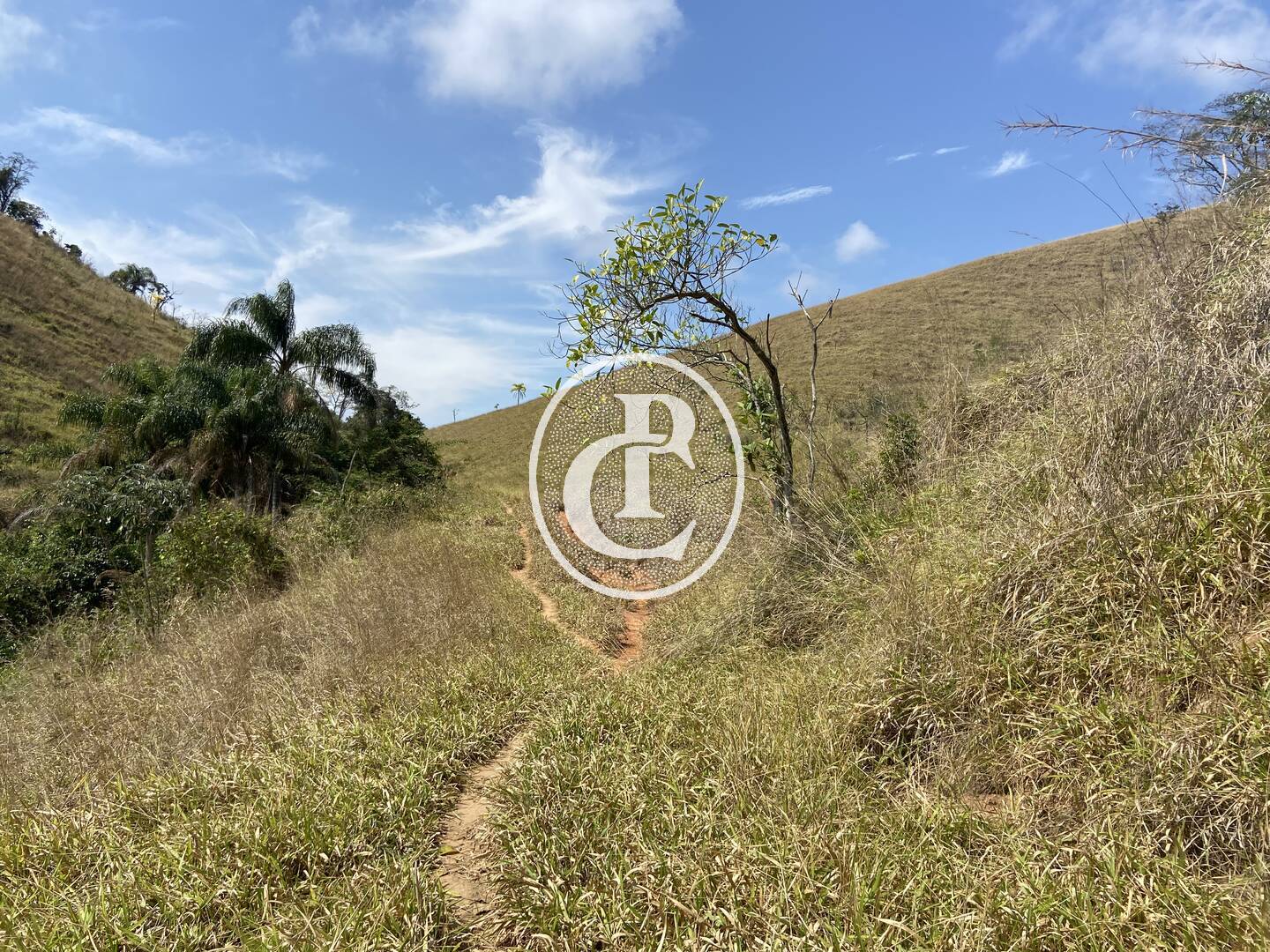 Fazenda-Sítio-Chácara, 63 hectares - Foto 24