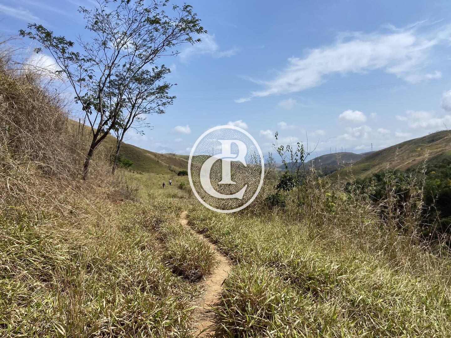 Fazenda-Sítio-Chácara, 63 hectares - Foto 25