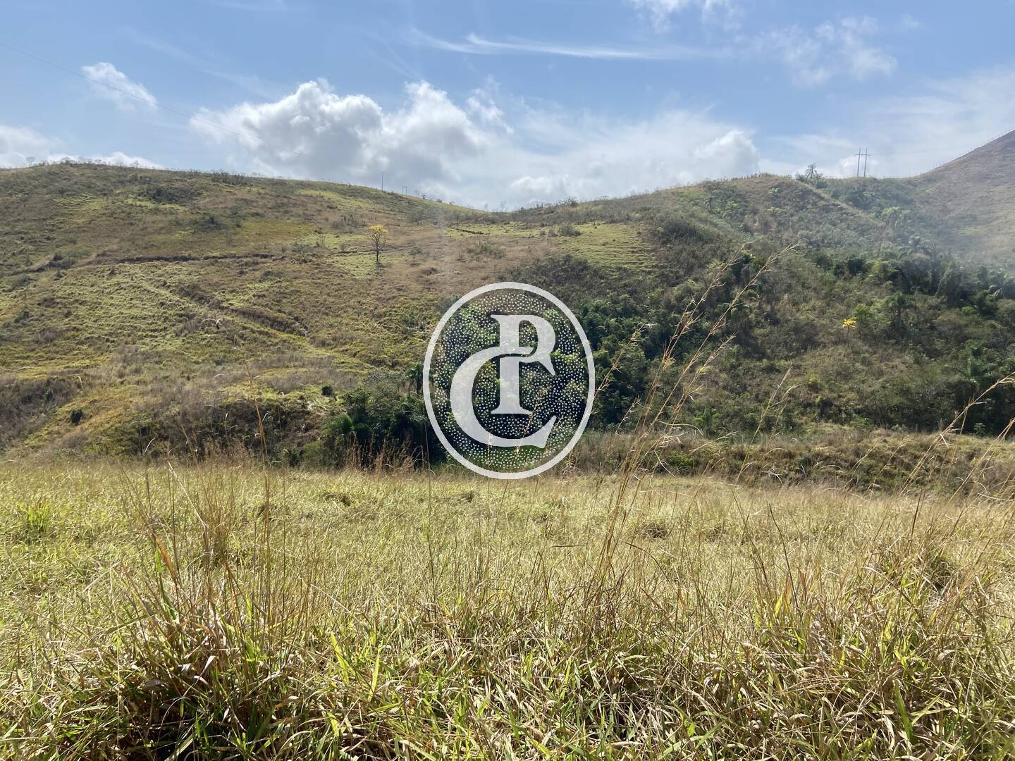 Fazenda-Sítio-Chácara, 63 hectares - Foto 27