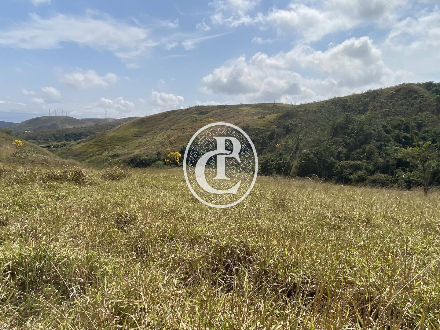 Fazenda-Sítio-Chácara, 63 hectares - Foto 28