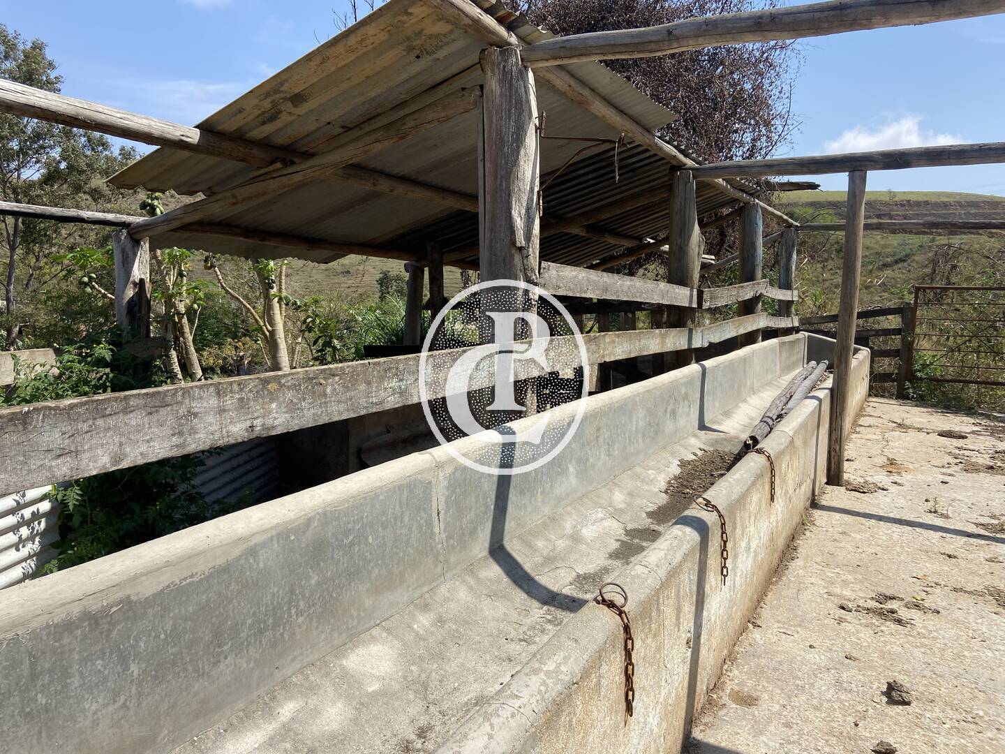 Fazenda-Sítio-Chácara, 63 hectares - Foto 29