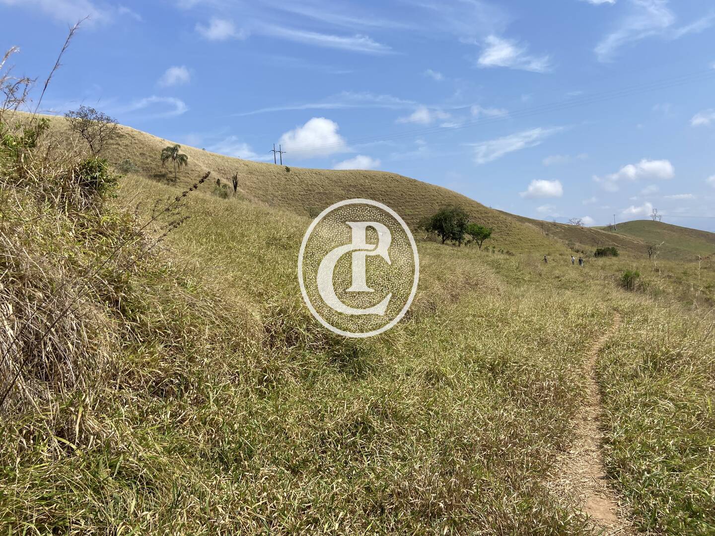 Fazenda-Sítio-Chácara, 63 hectares - Foto 30