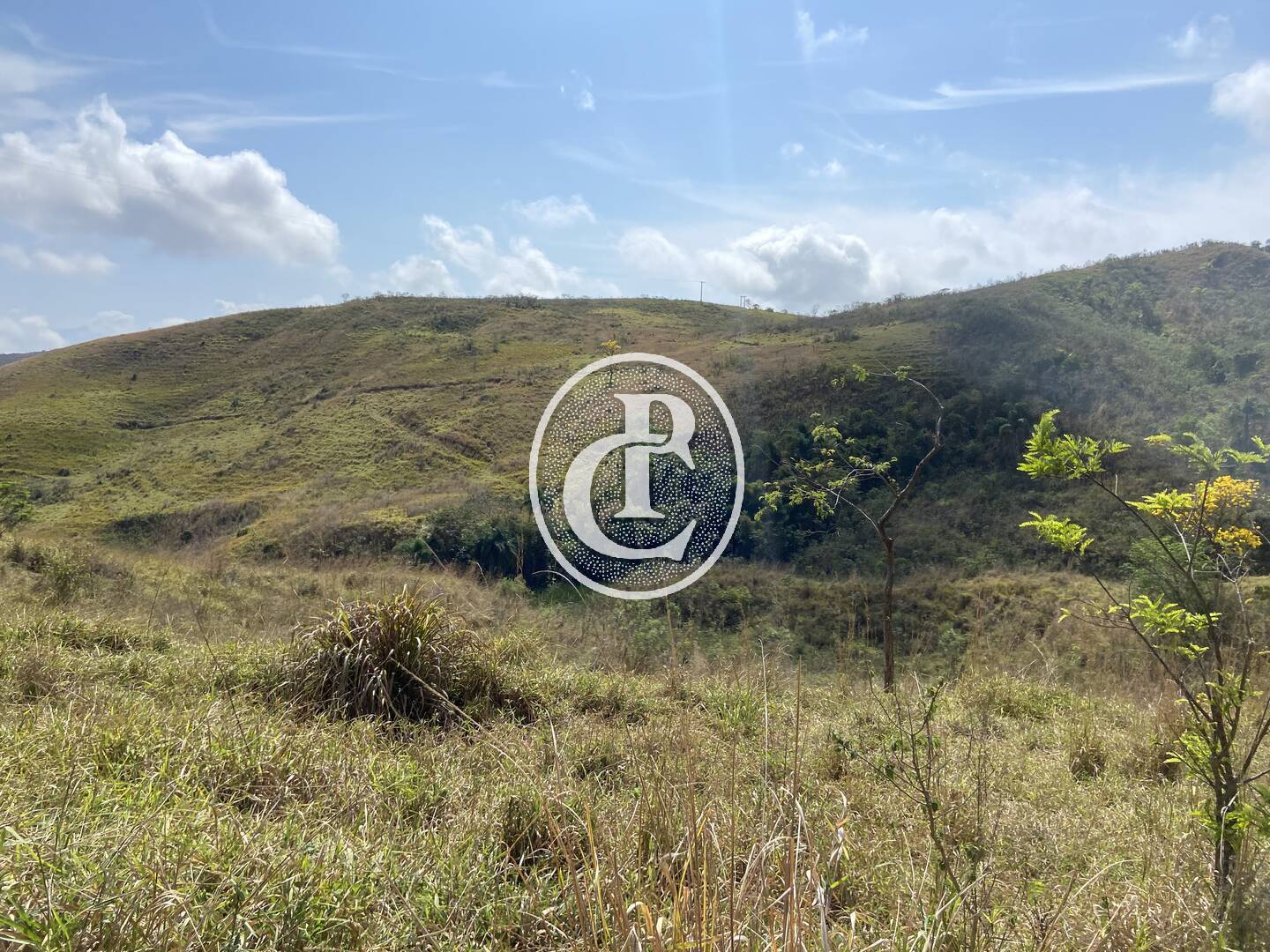 Fazenda-Sítio-Chácara, 63 hectares - Foto 33