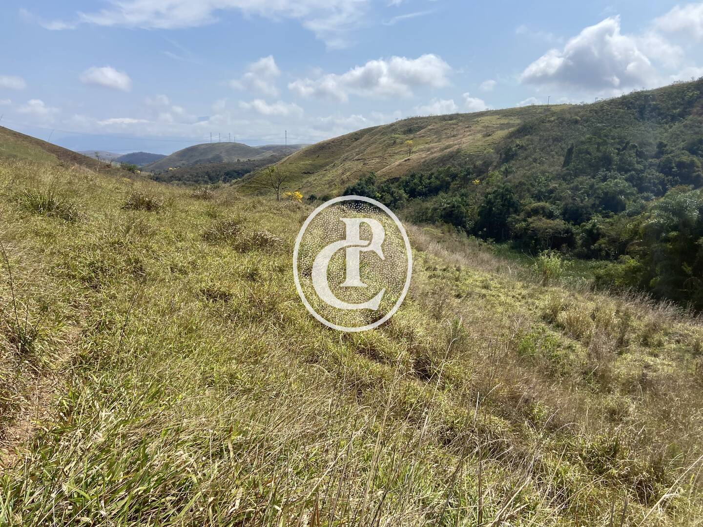 Fazenda-Sítio-Chácara, 63 hectares - Foto 34