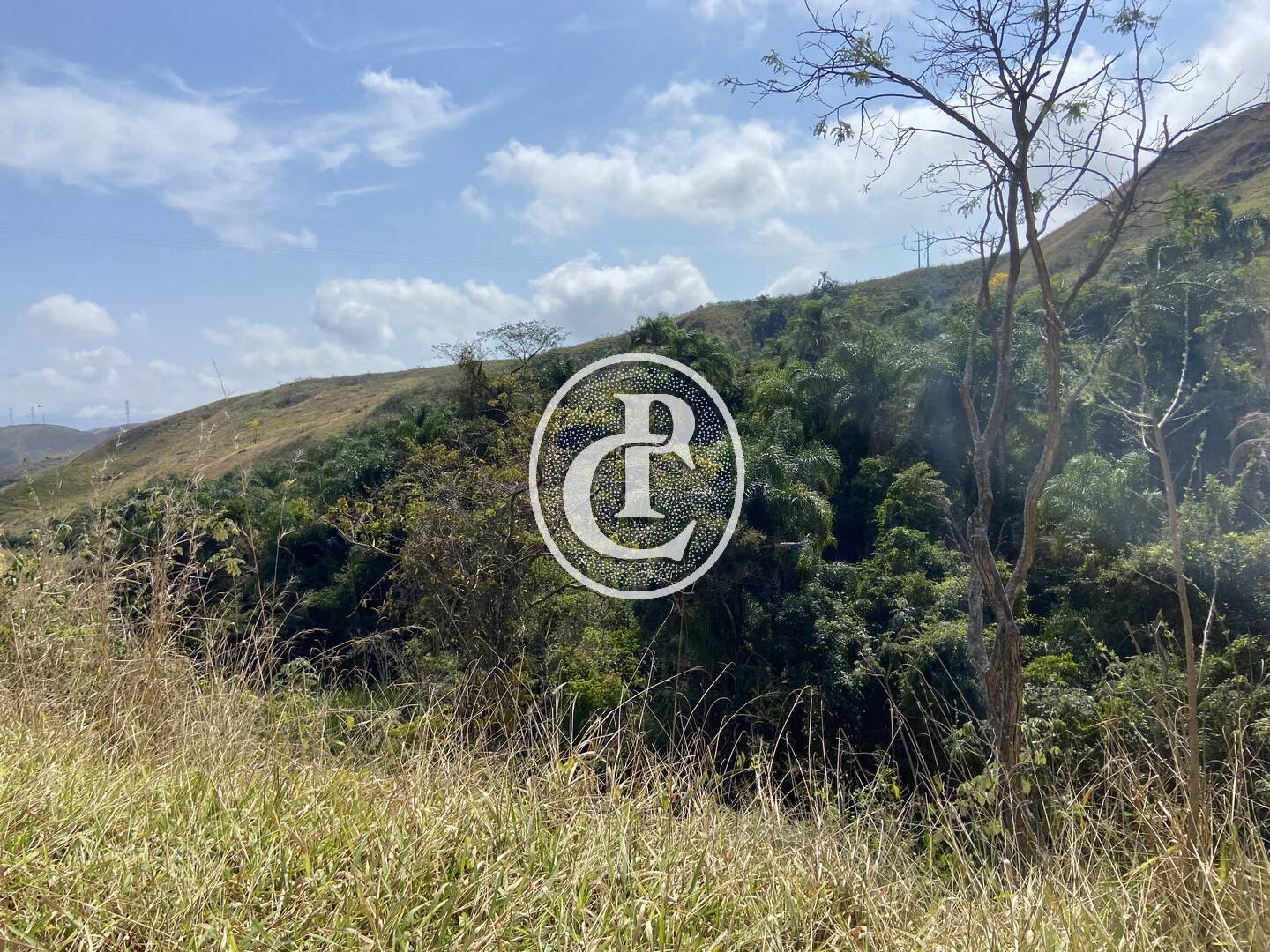 Fazenda-Sítio-Chácara, 63 hectares - Foto 35