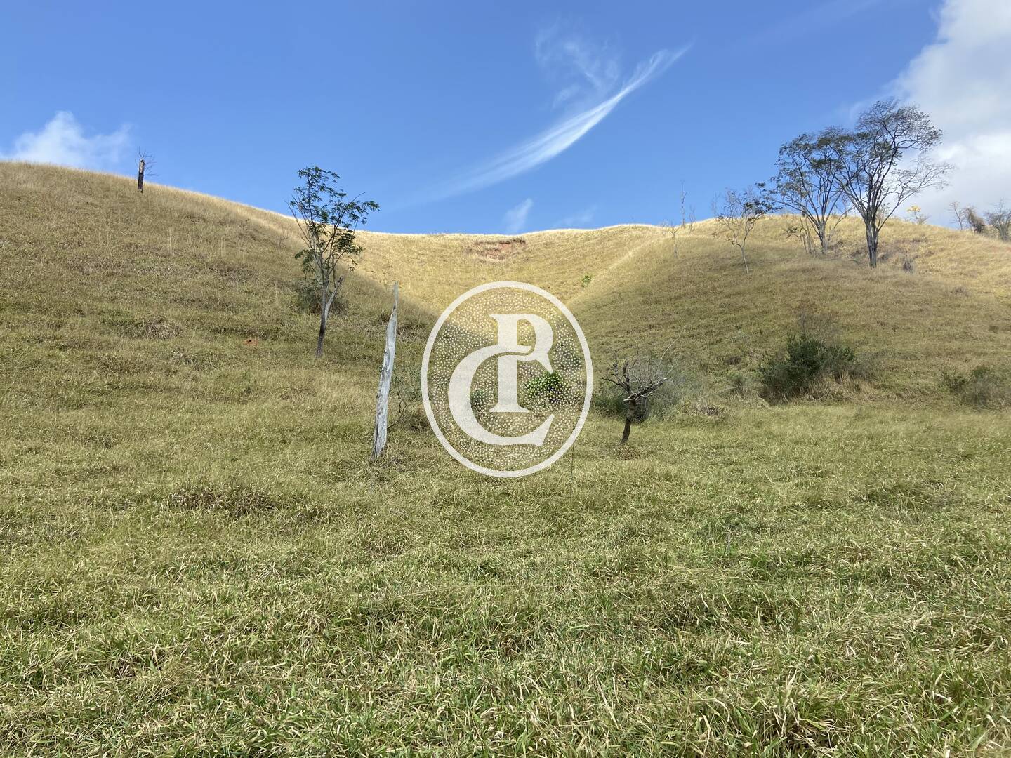 Fazenda-Sítio-Chácara, 63 hectares - Foto 36