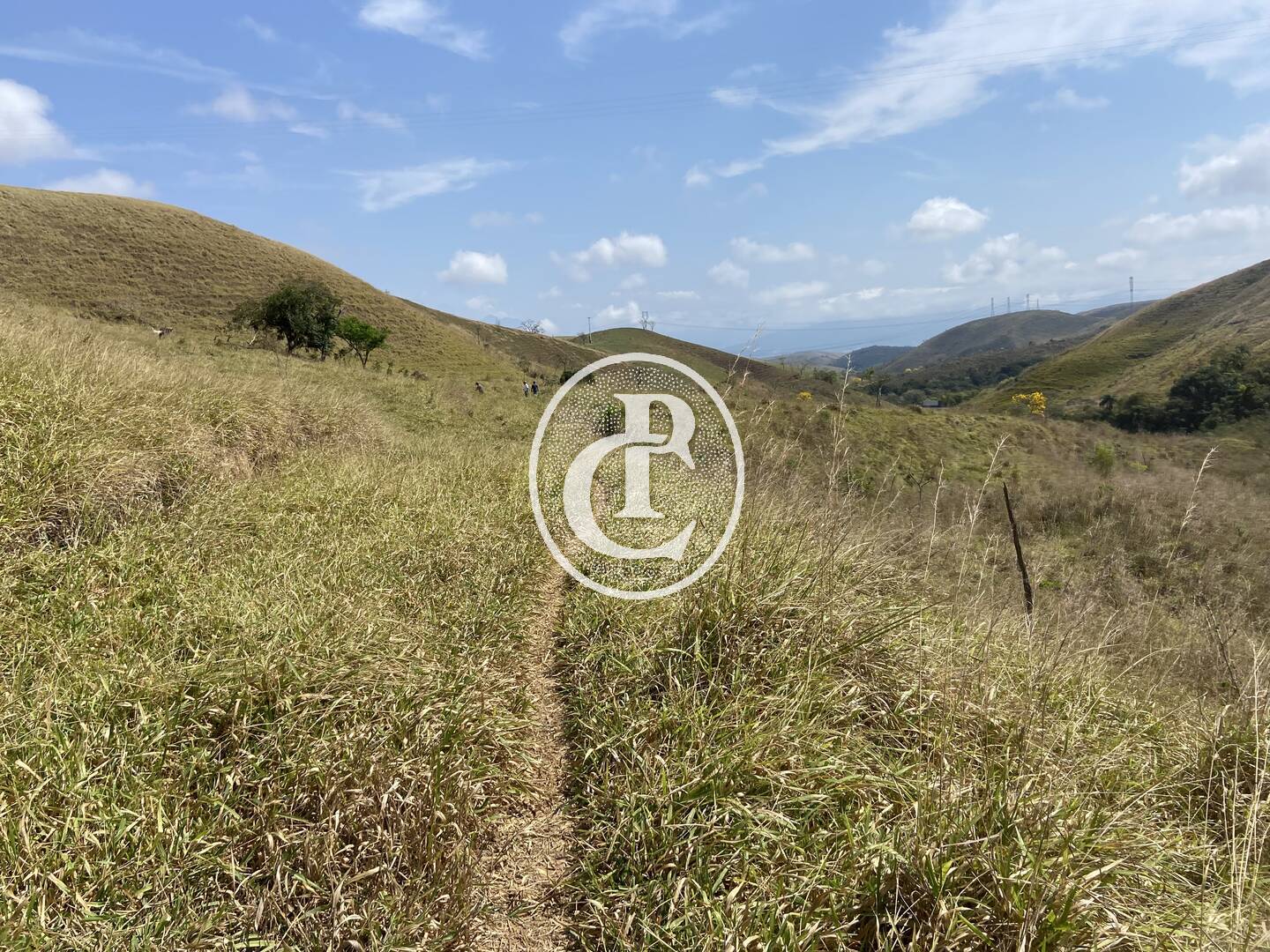 Fazenda-Sítio-Chácara, 63 hectares - Foto 37