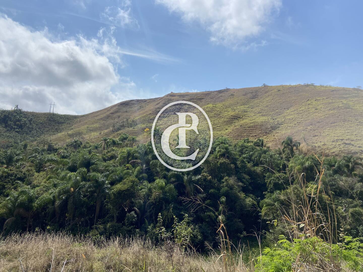 Fazenda-Sítio-Chácara, 63 hectares - Foto 39