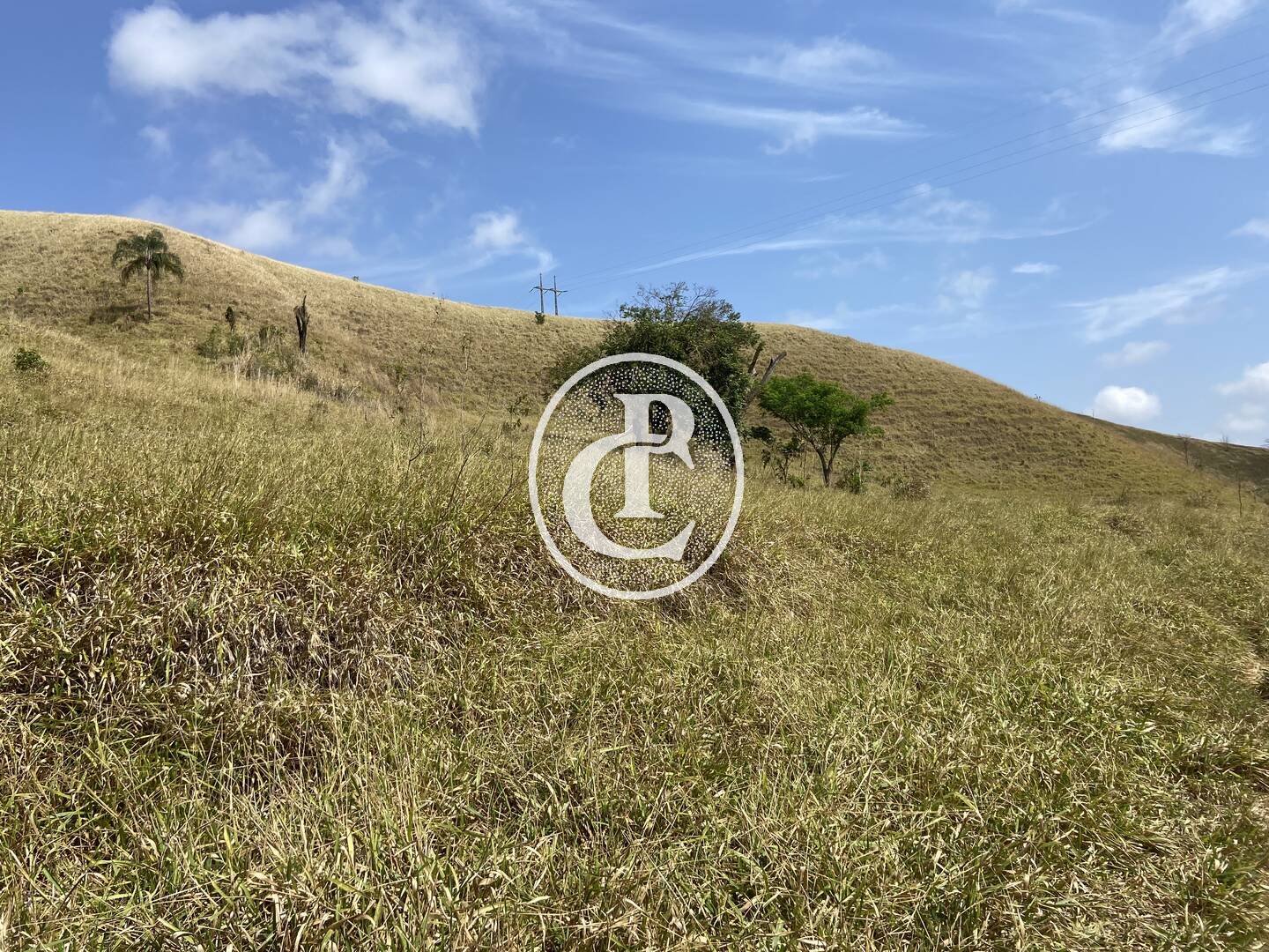 Fazenda-Sítio-Chácara, 63 hectares - Foto 40