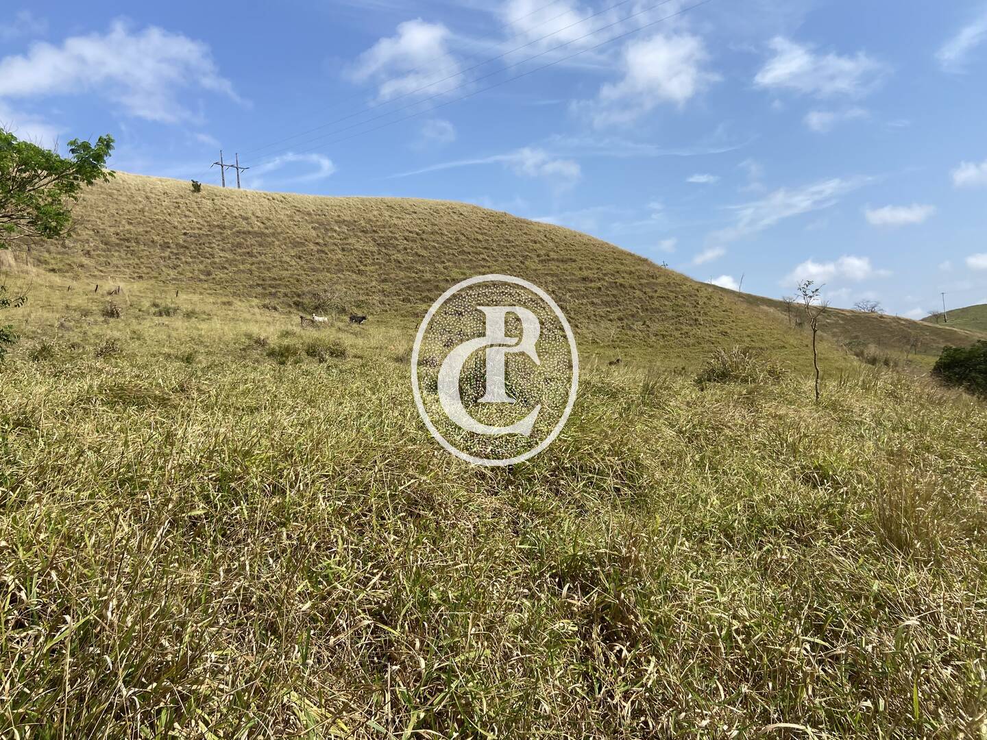 Fazenda-Sítio-Chácara, 63 hectares - Foto 43