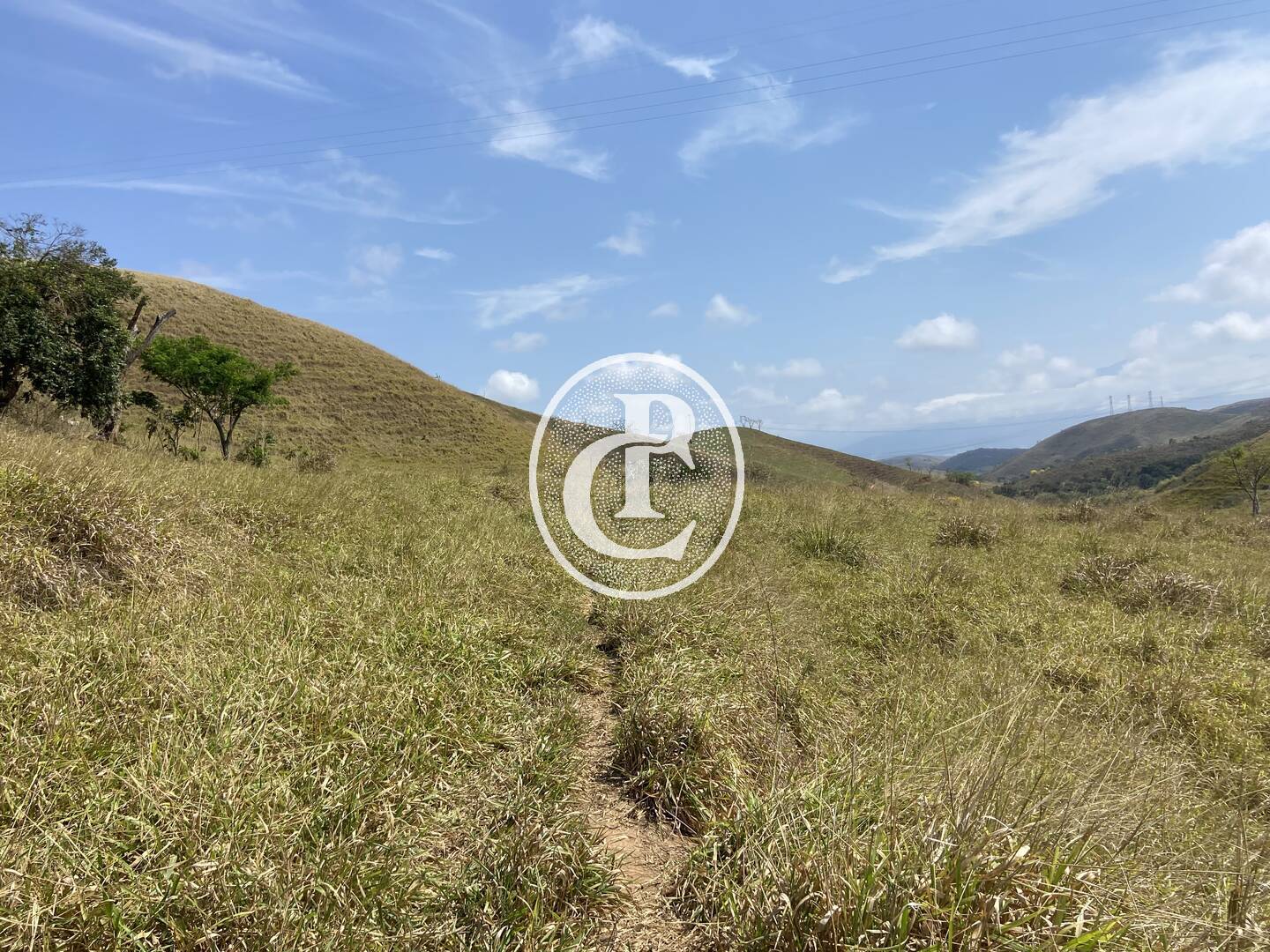 Fazenda-Sítio-Chácara, 63 hectares - Foto 44