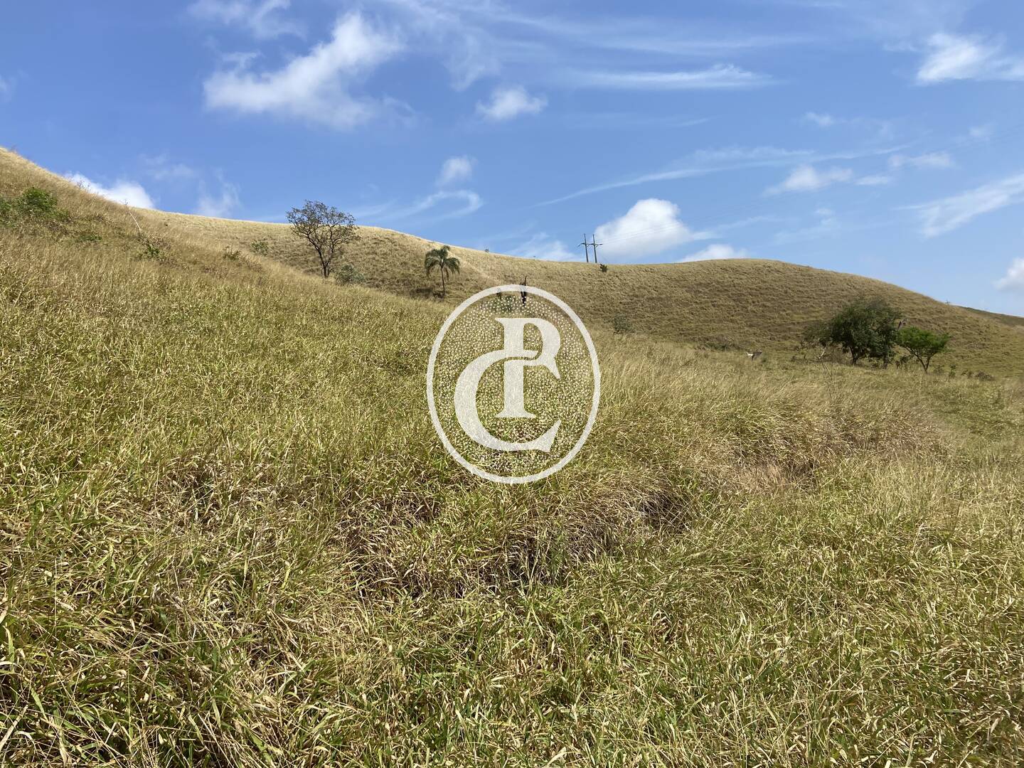 Fazenda-Sítio-Chácara, 63 hectares - Foto 45