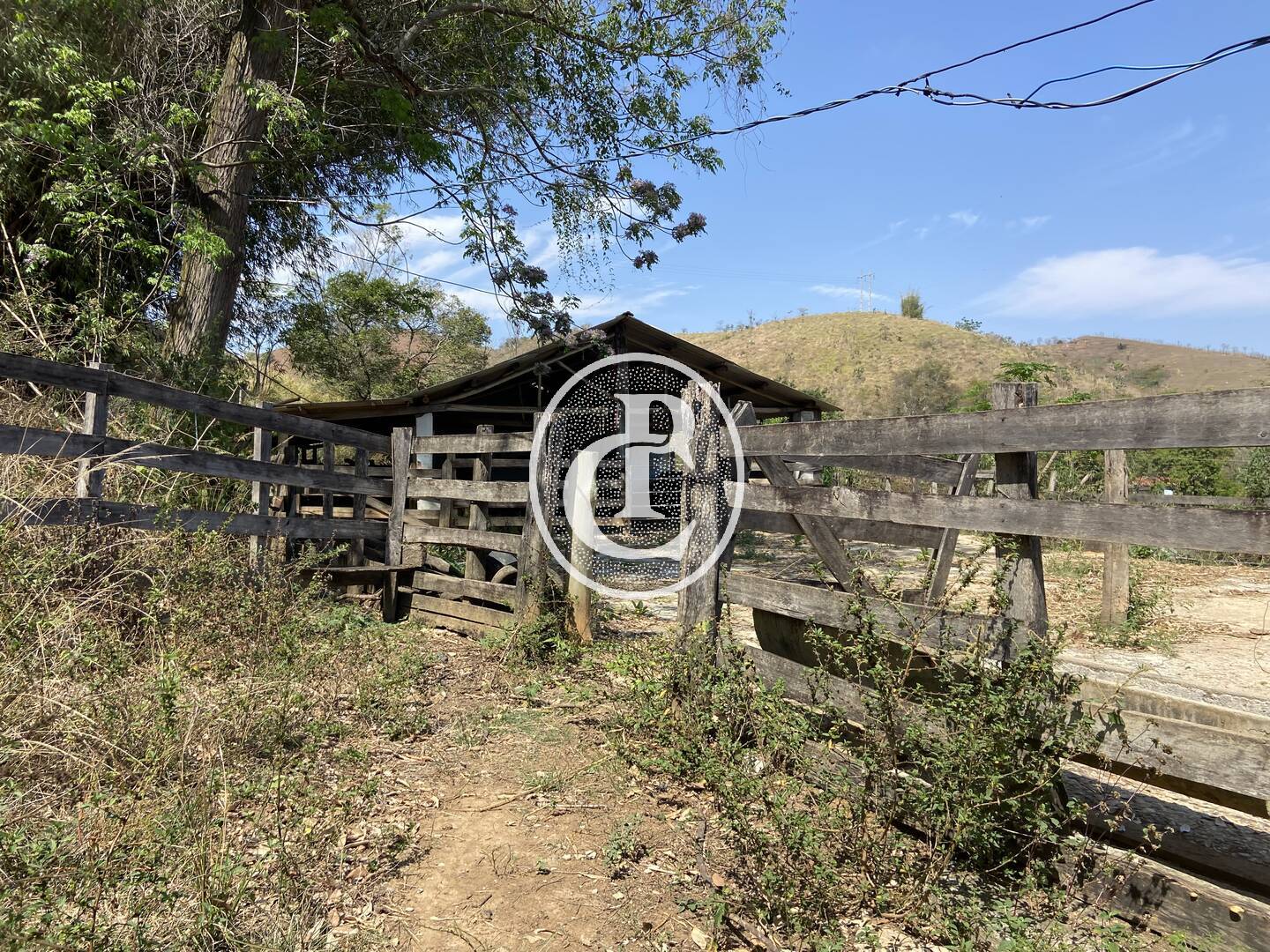 Fazenda-Sítio-Chácara, 63 hectares - Foto 46