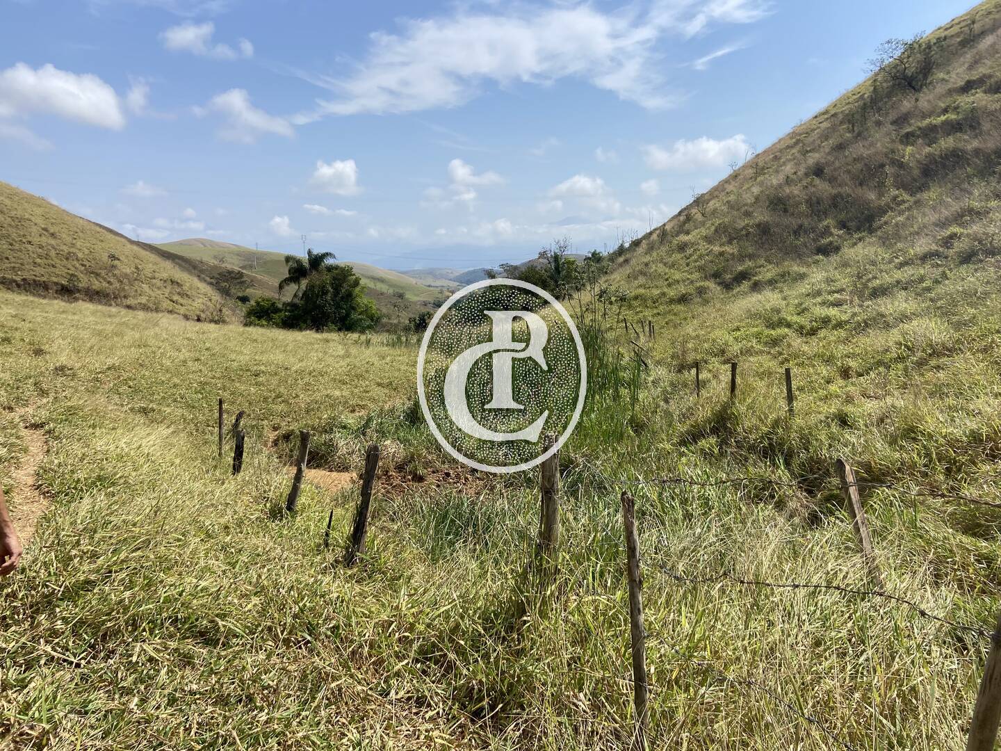 Fazenda-Sítio-Chácara, 63 hectares - Foto 47