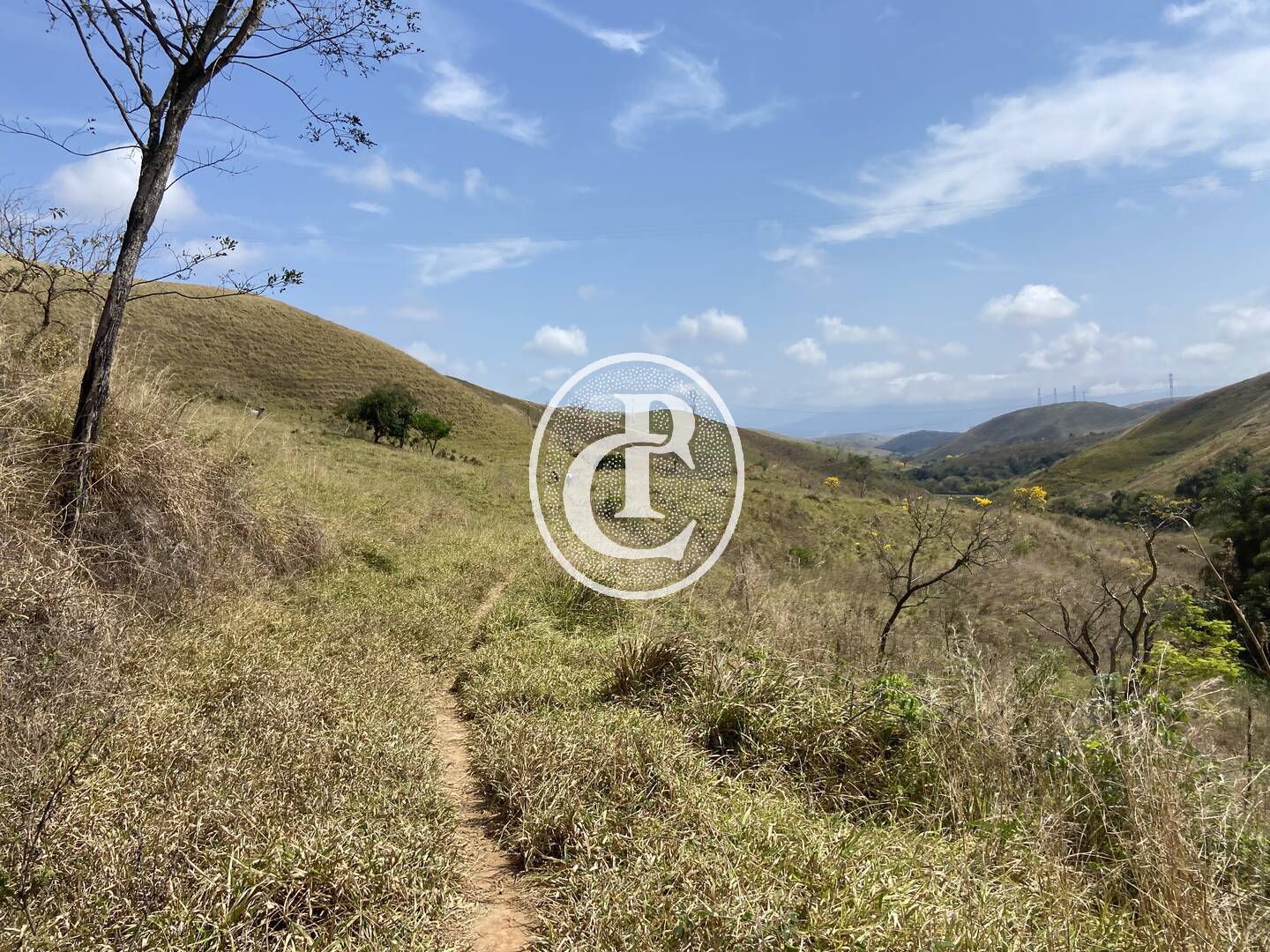 Fazenda-Sítio-Chácara, 63 hectares - Foto 48