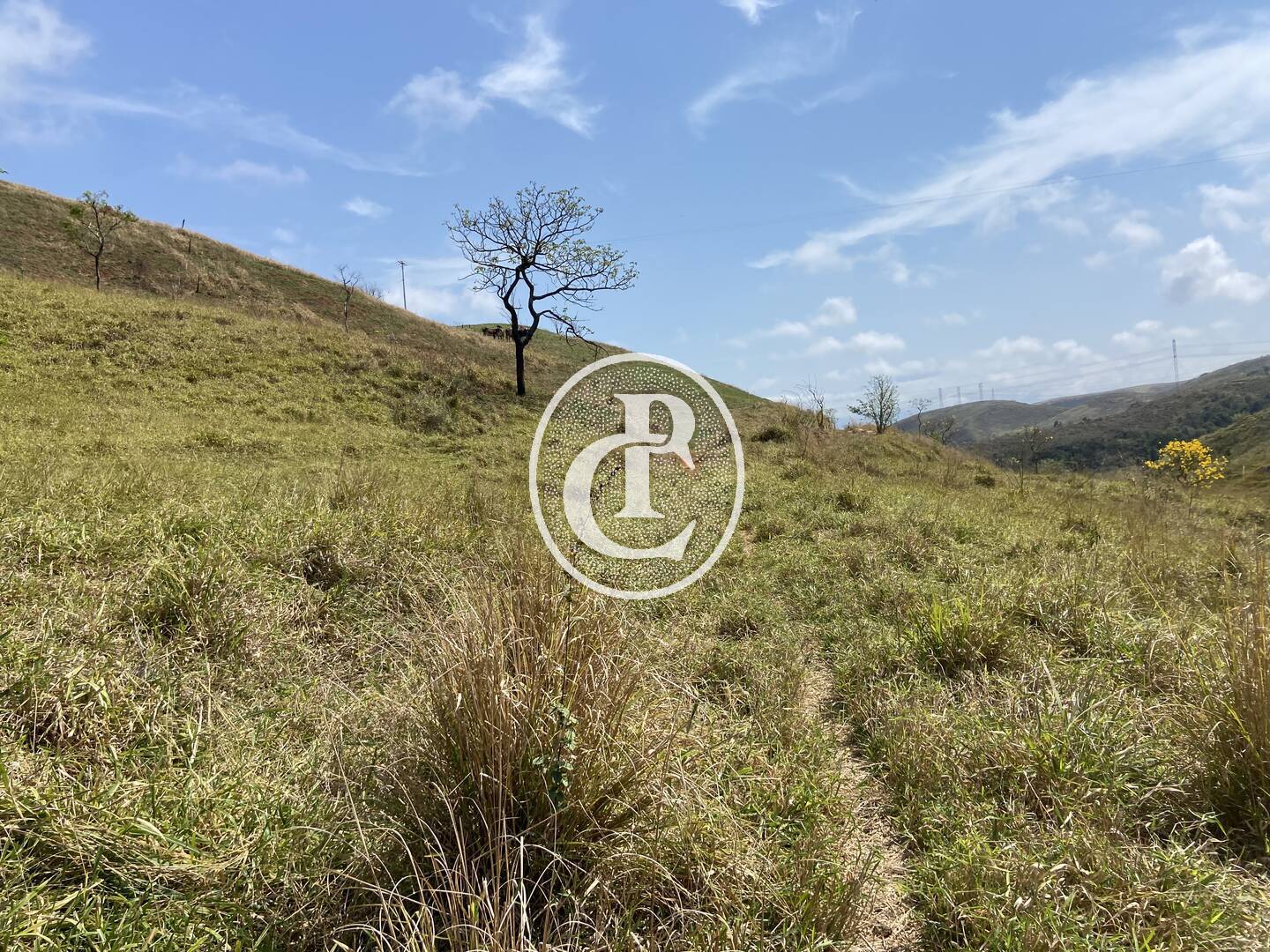 Fazenda-Sítio-Chácara, 63 hectares - Foto 49