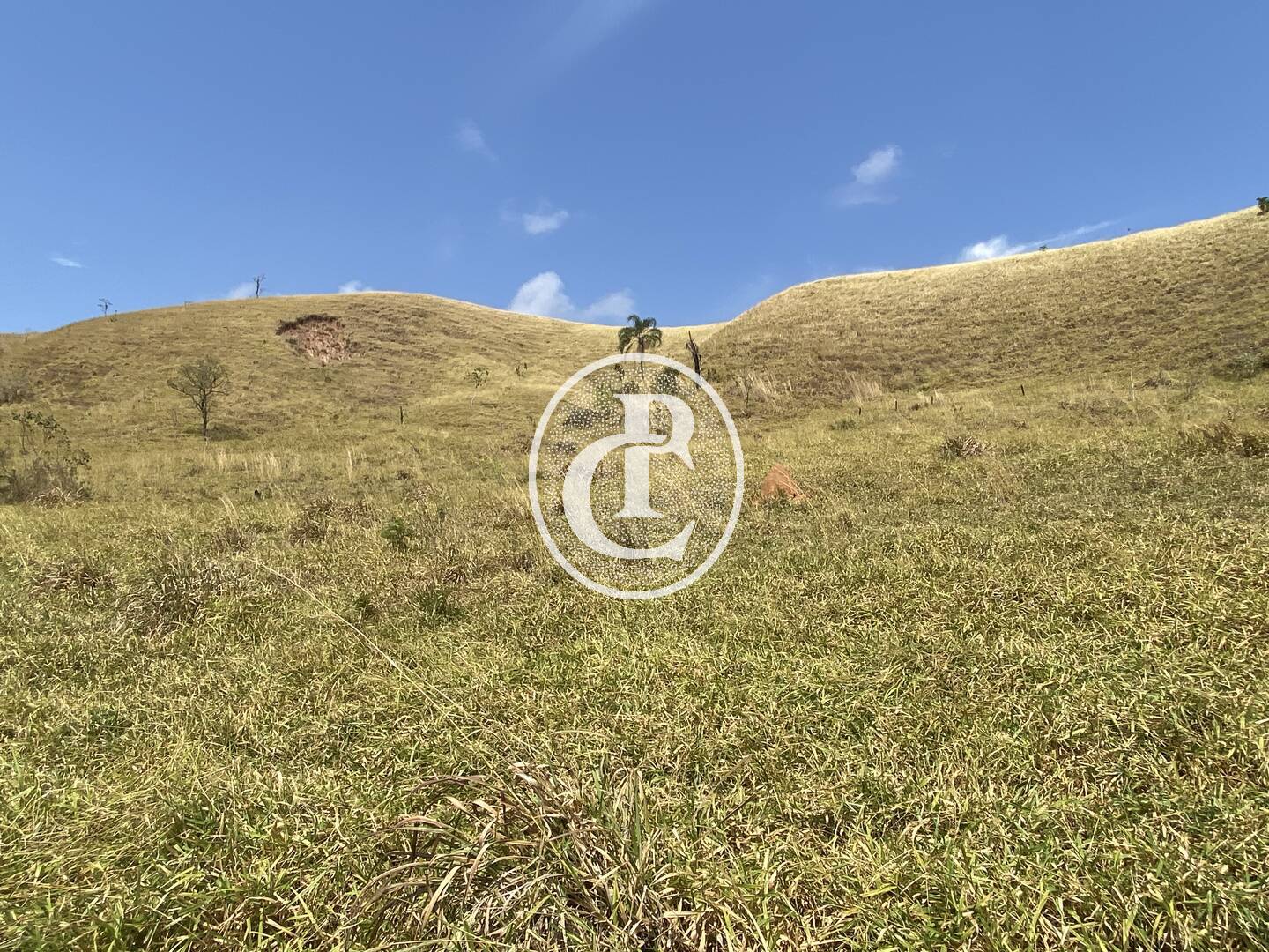 Fazenda-Sítio-Chácara, 63 hectares - Foto 50