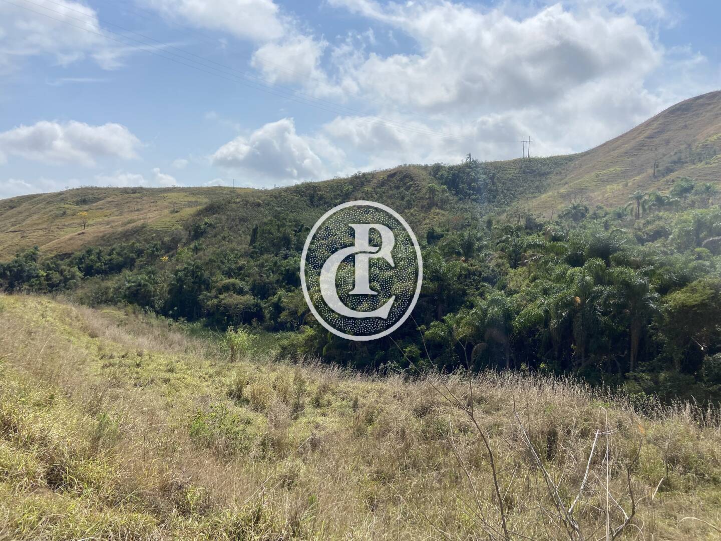 Fazenda-Sítio-Chácara, 63 hectares - Foto 51