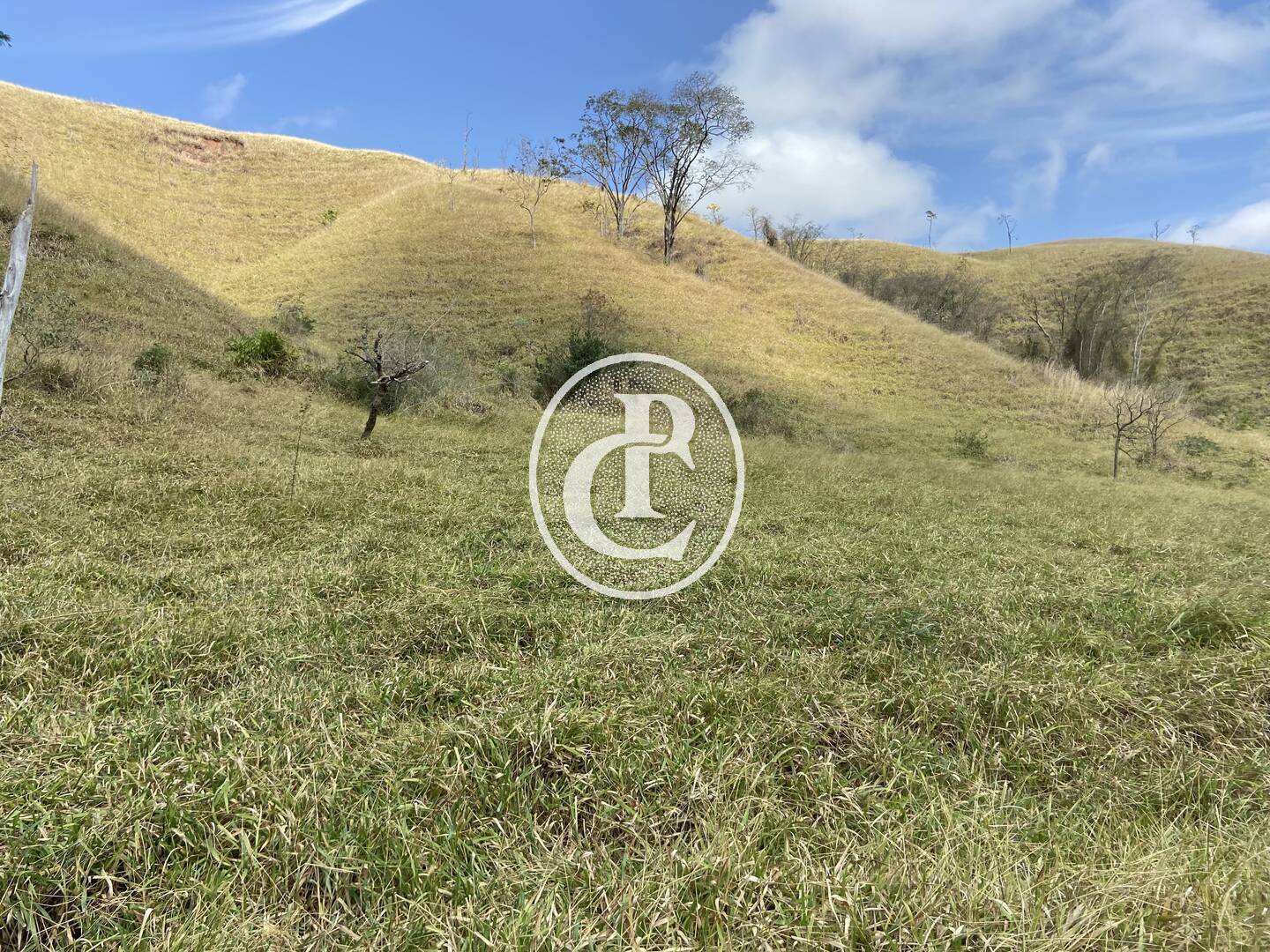 Fazenda-Sítio-Chácara, 63 hectares - Foto 52