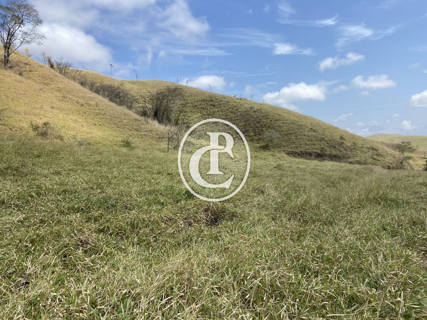 Fazenda-Sítio-Chácara, 63 hectares - Foto 53